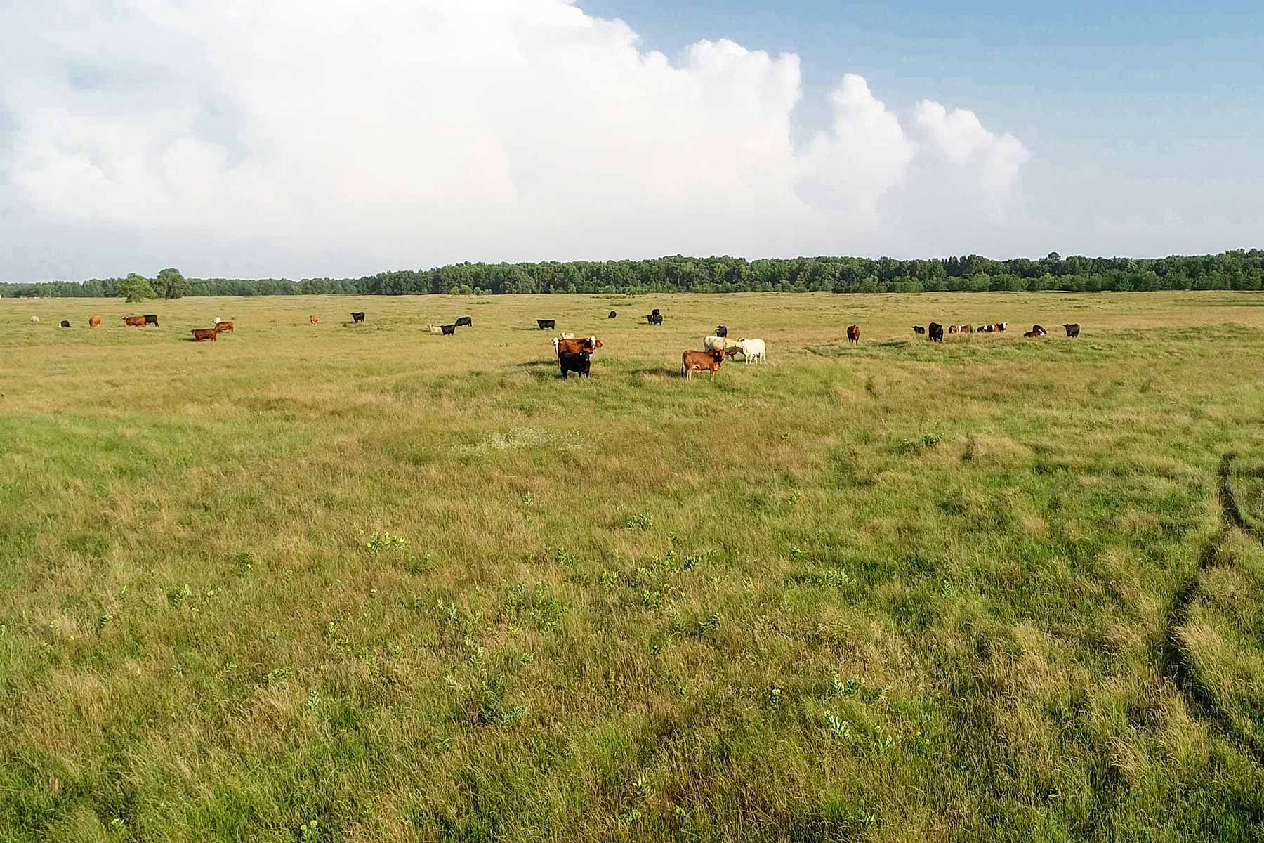 Pine Creek Ranch property picture 6 of 43