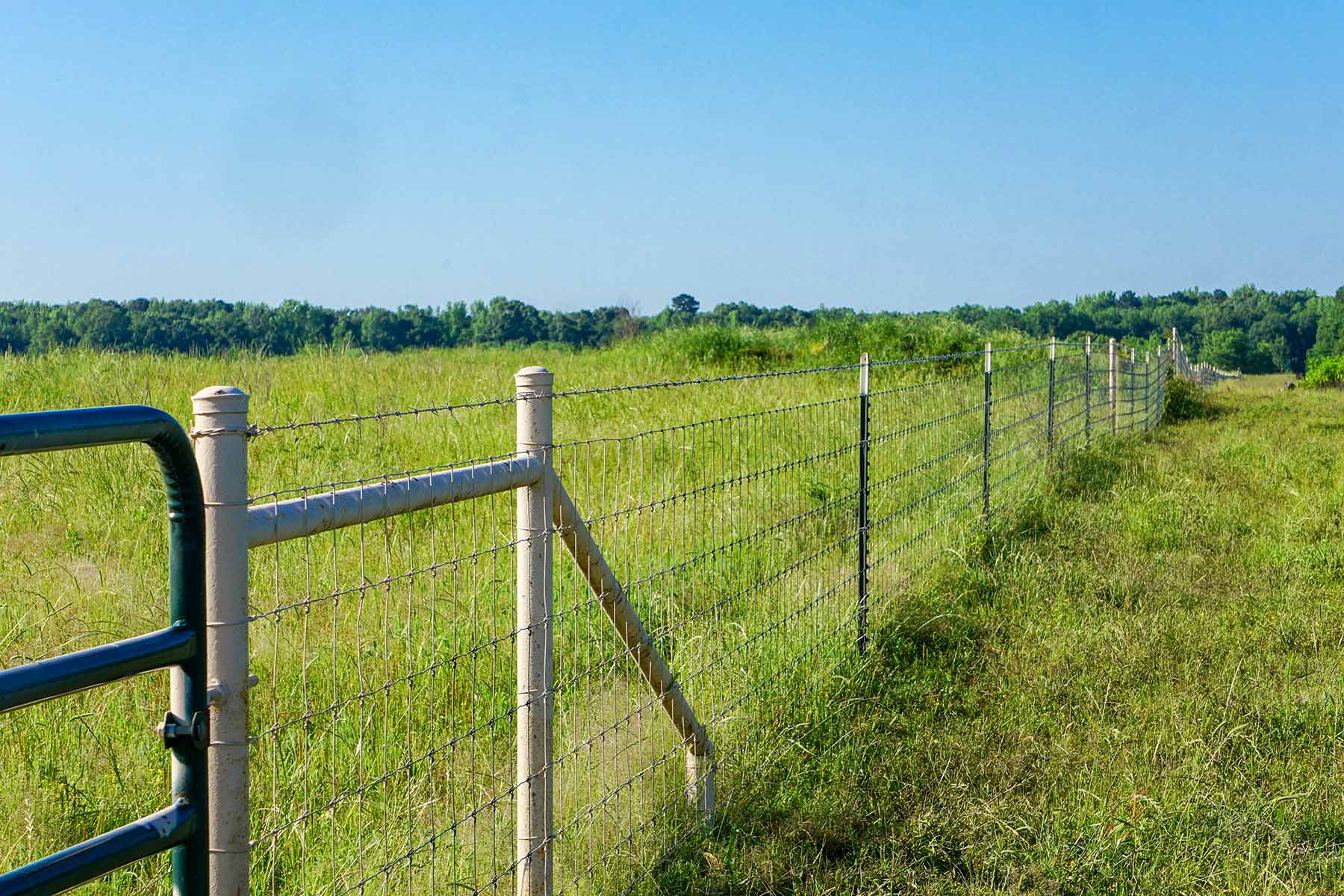 Pine Creek Ranch property picture 16 of 43
