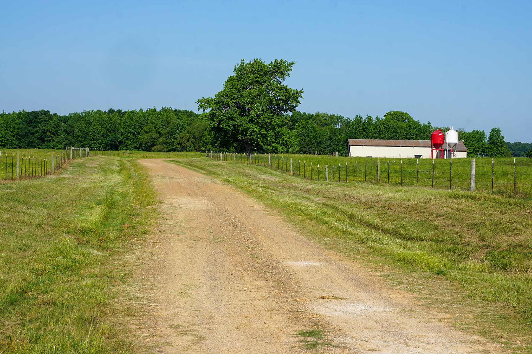 Pine Creek Ranch - Sold - Texas - Hall and Hall