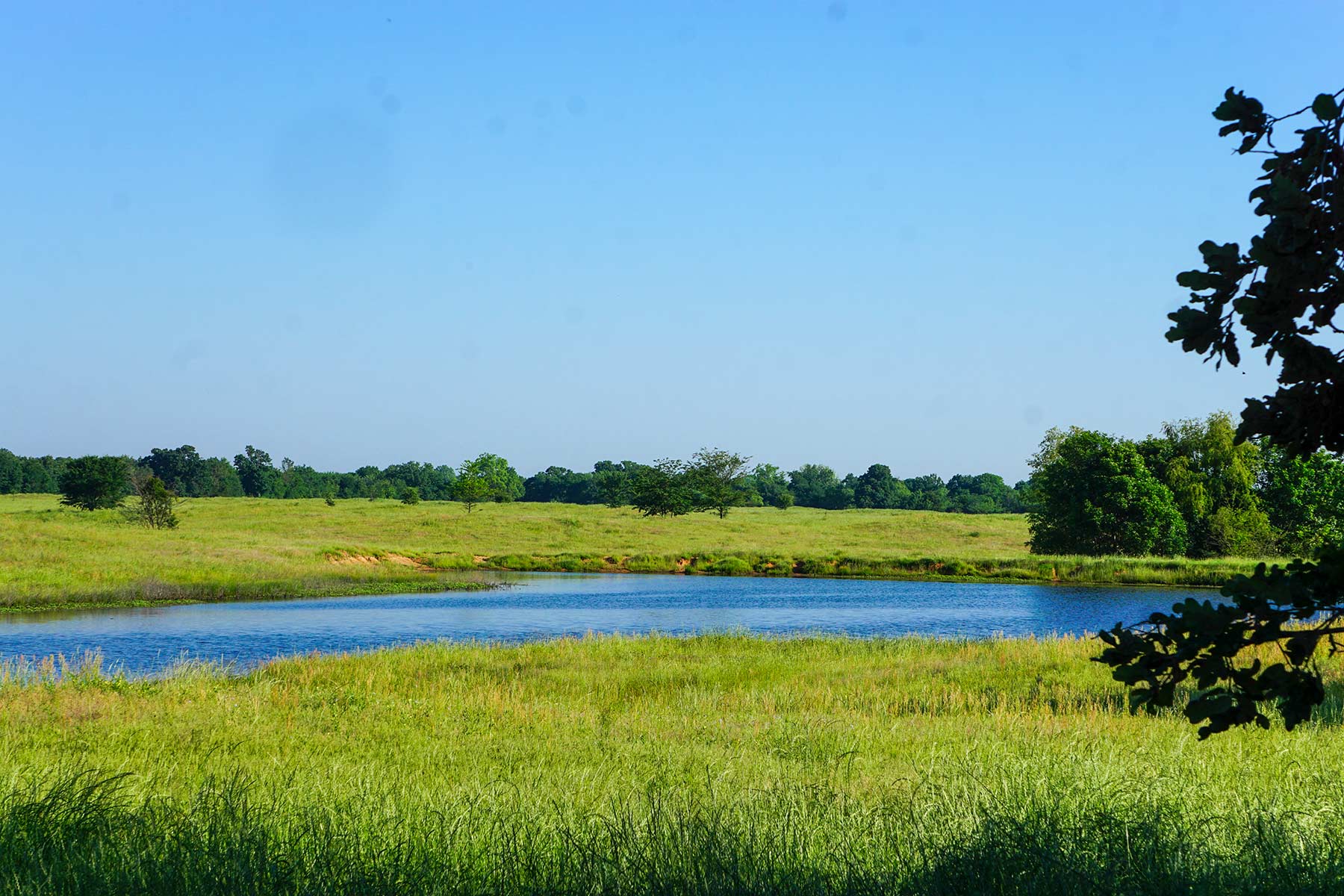 Pine Creek Ranch - Sold - Texas - Hall and Hall