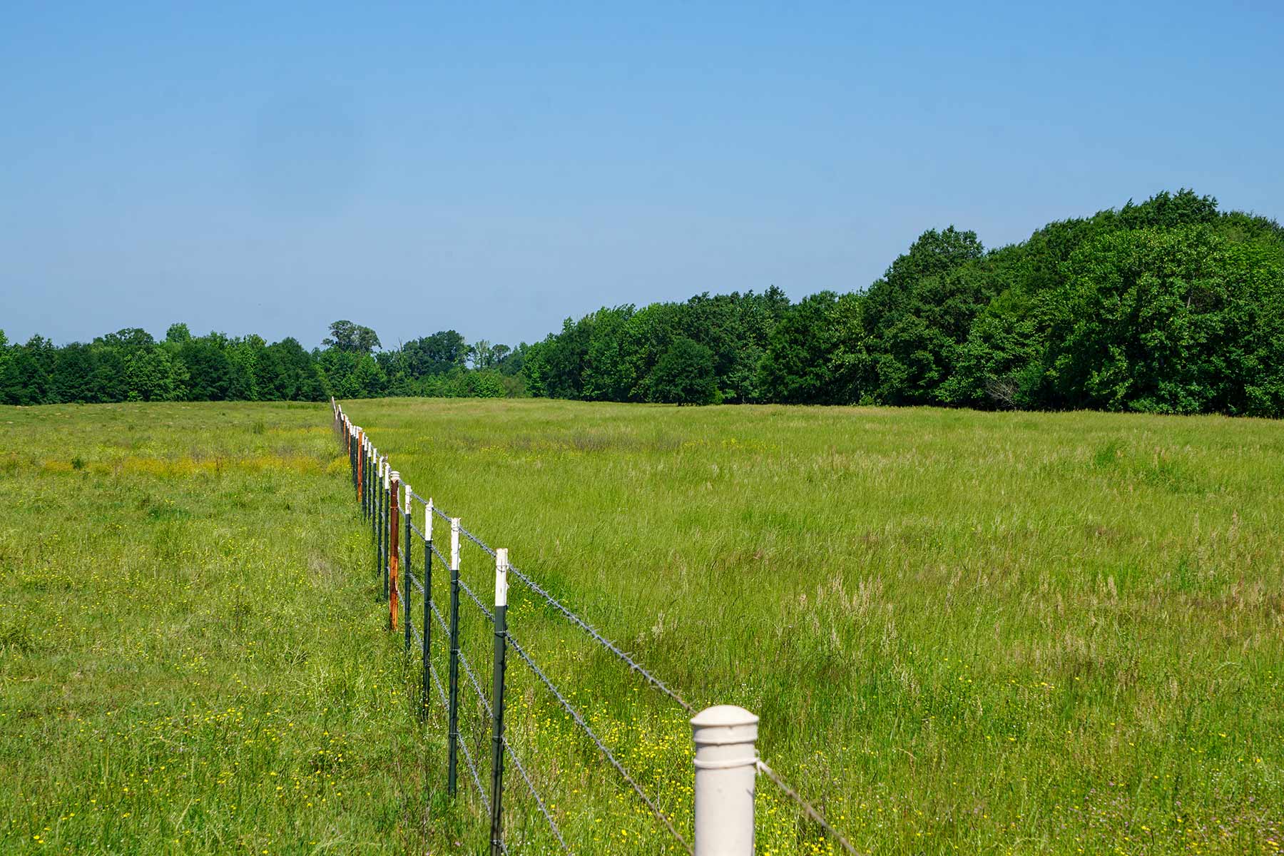 Pine Creek Ranch property picture 35 of 43