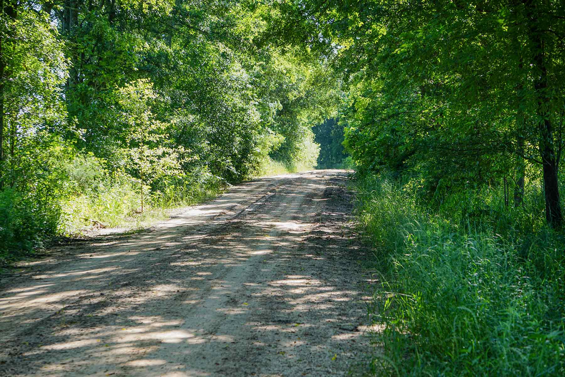Pine Creek Ranch property picture 25 of 43