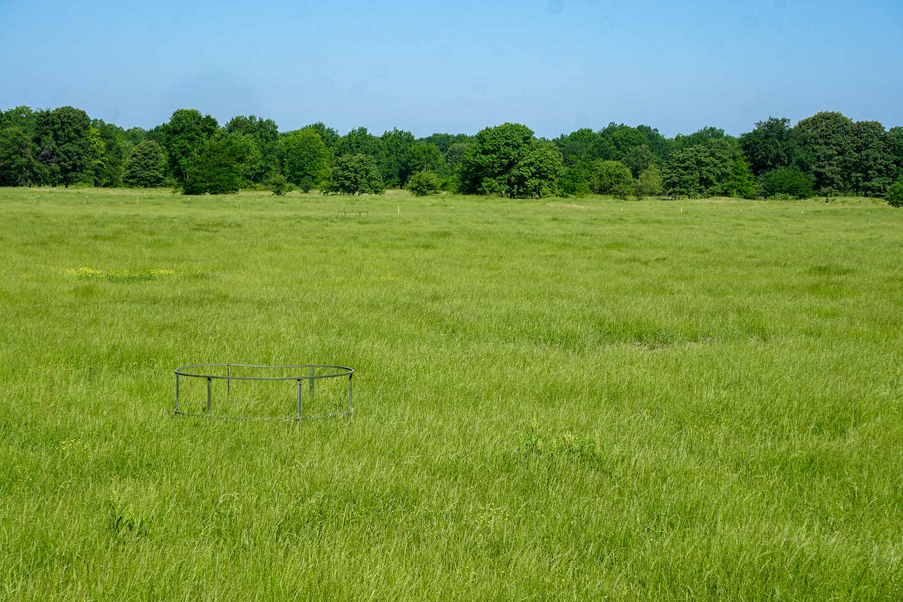 Pine Creek Ranch property picture 22 of 43