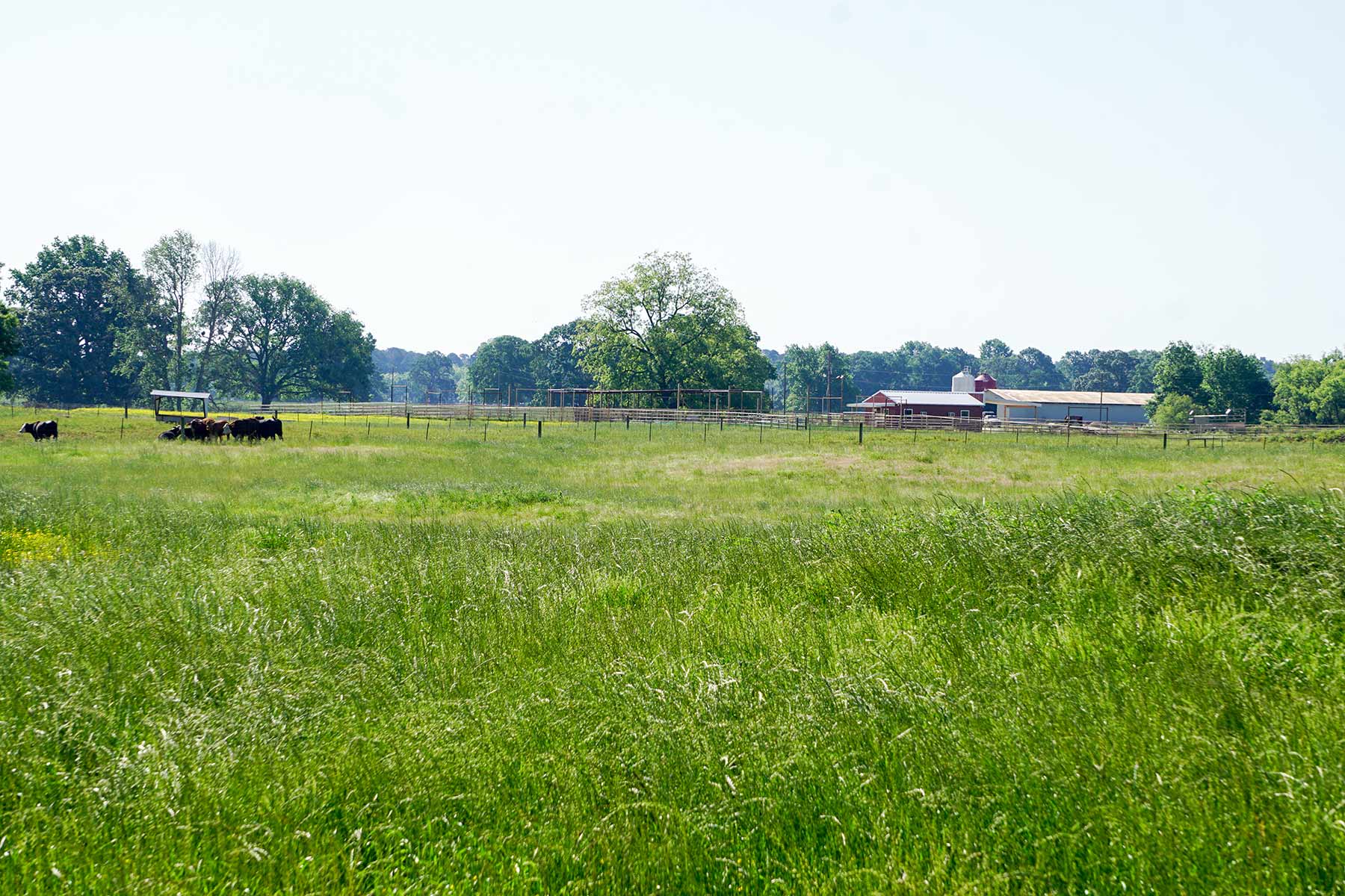 Pine Creek Ranch property picture 18 of 43