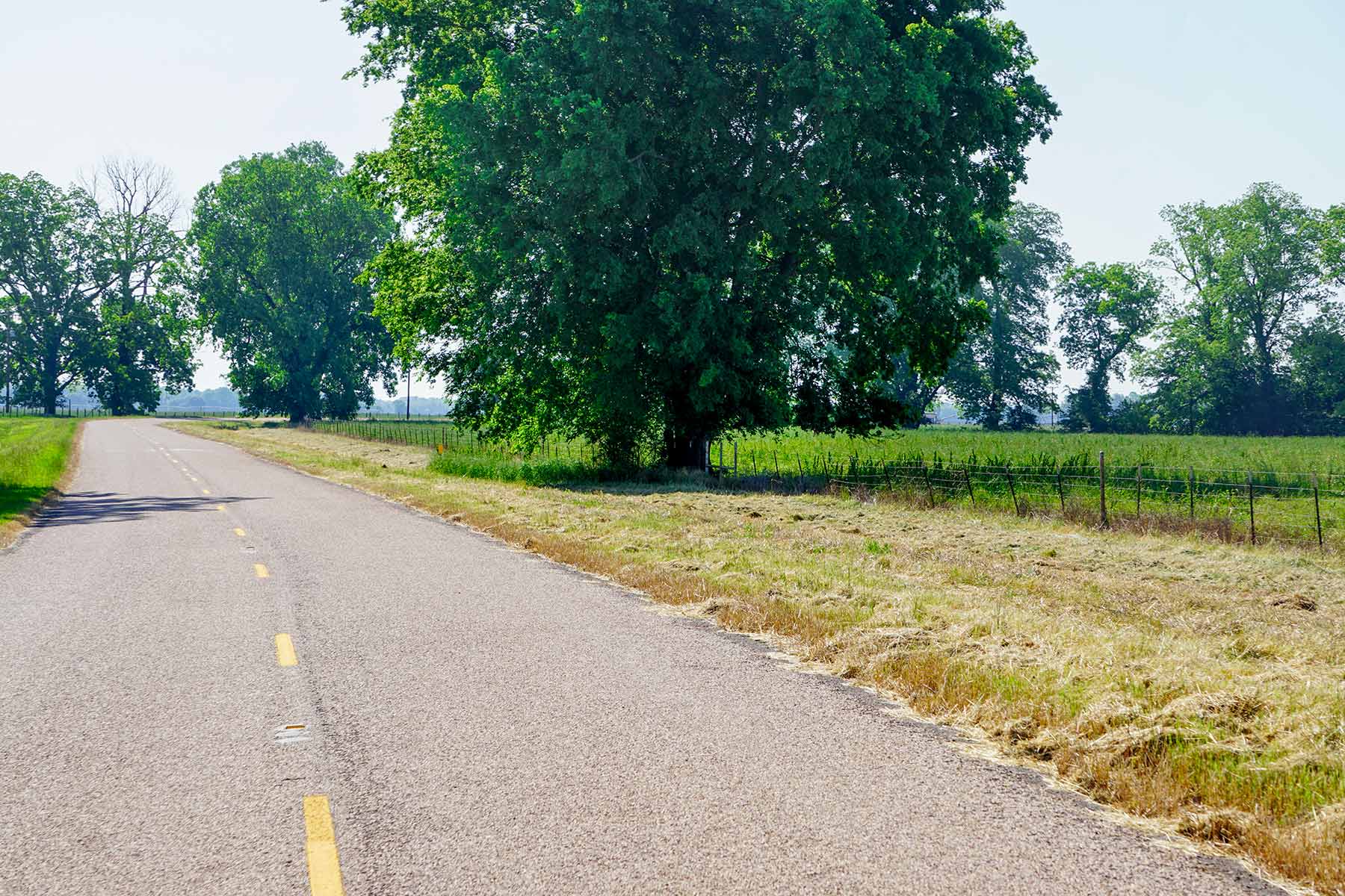 Pine Creek Ranch property picture 21 of 43