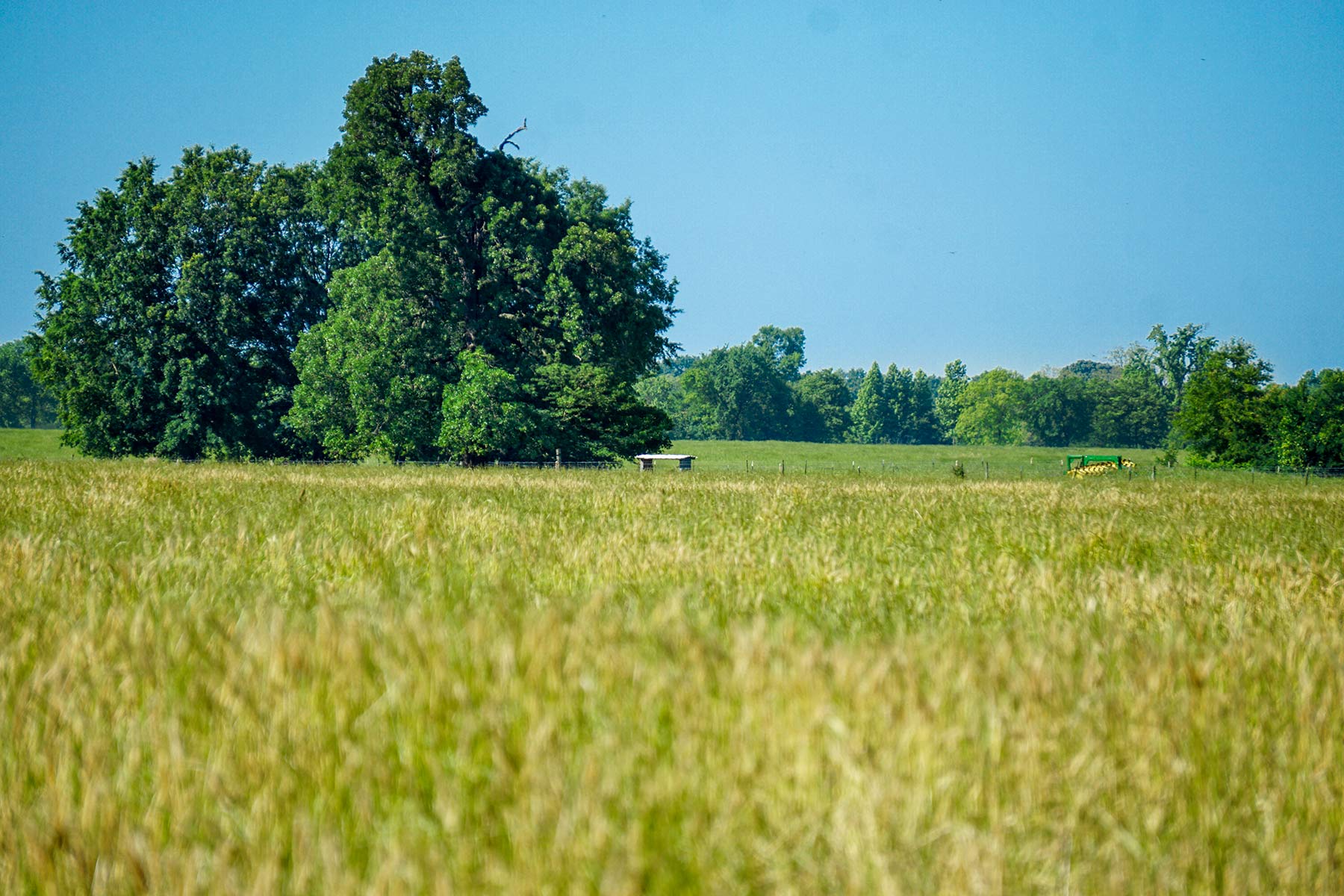 Pine Creek Ranch property picture 24 of 43