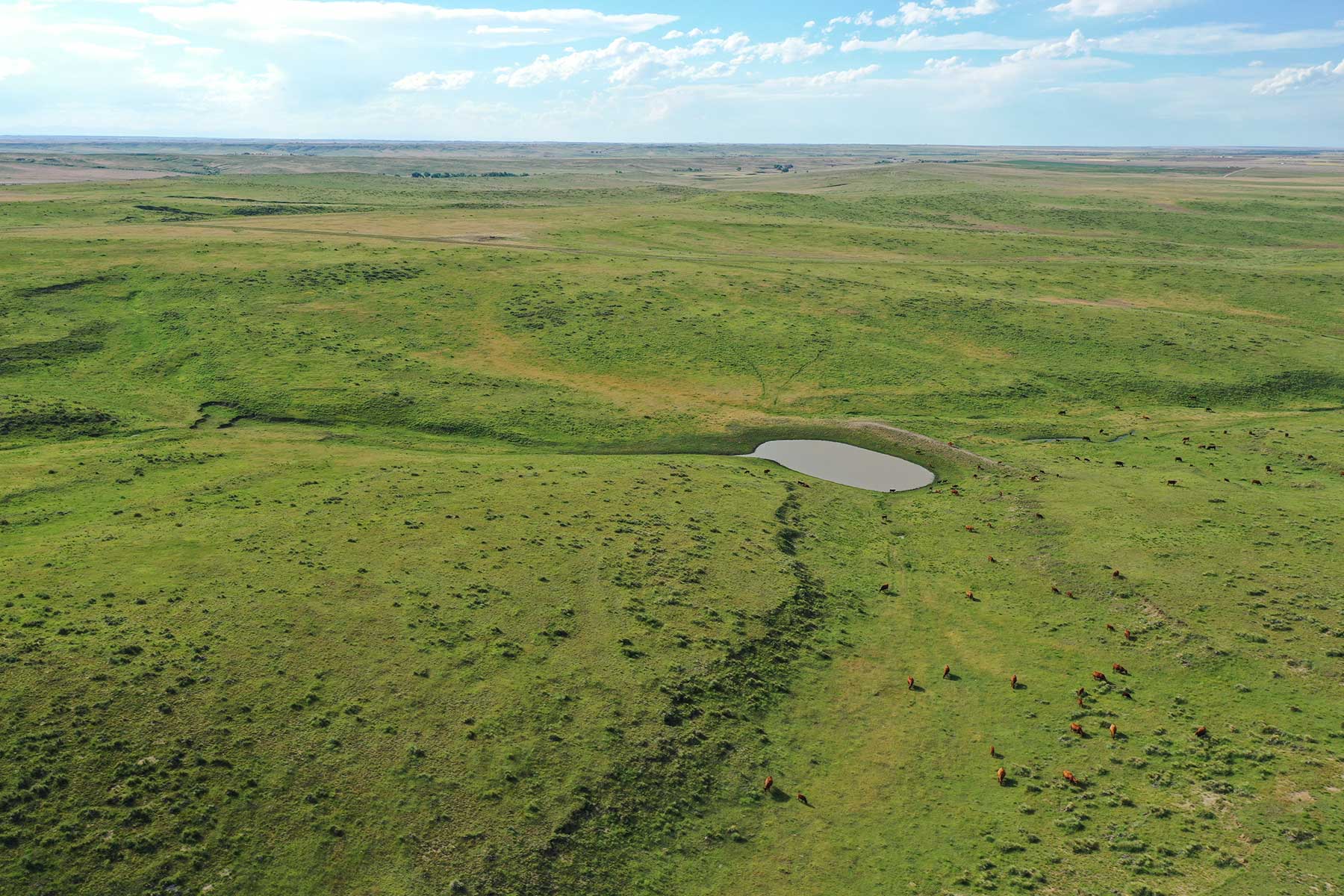 South Comanche Ranch property picture 16 of 220