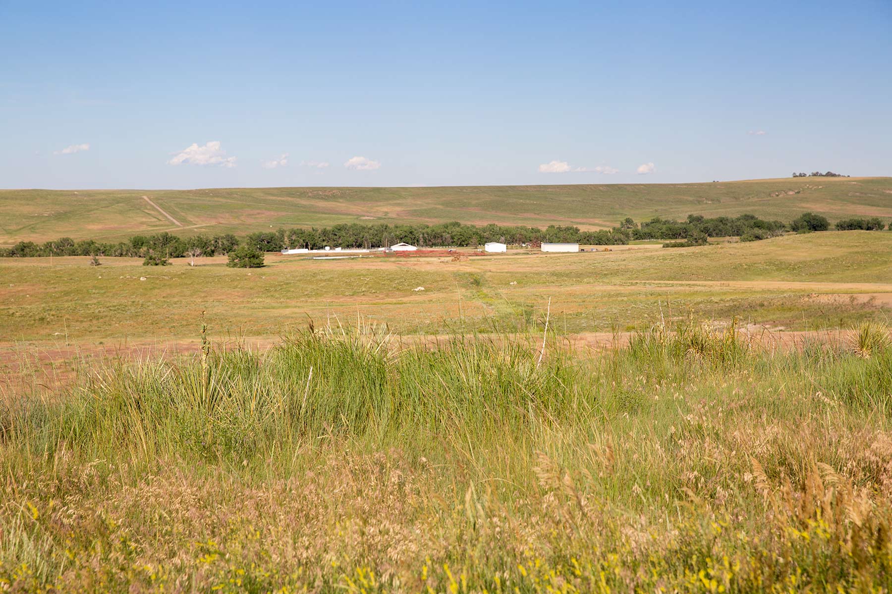 South Comanche Ranch property picture 59 of 220