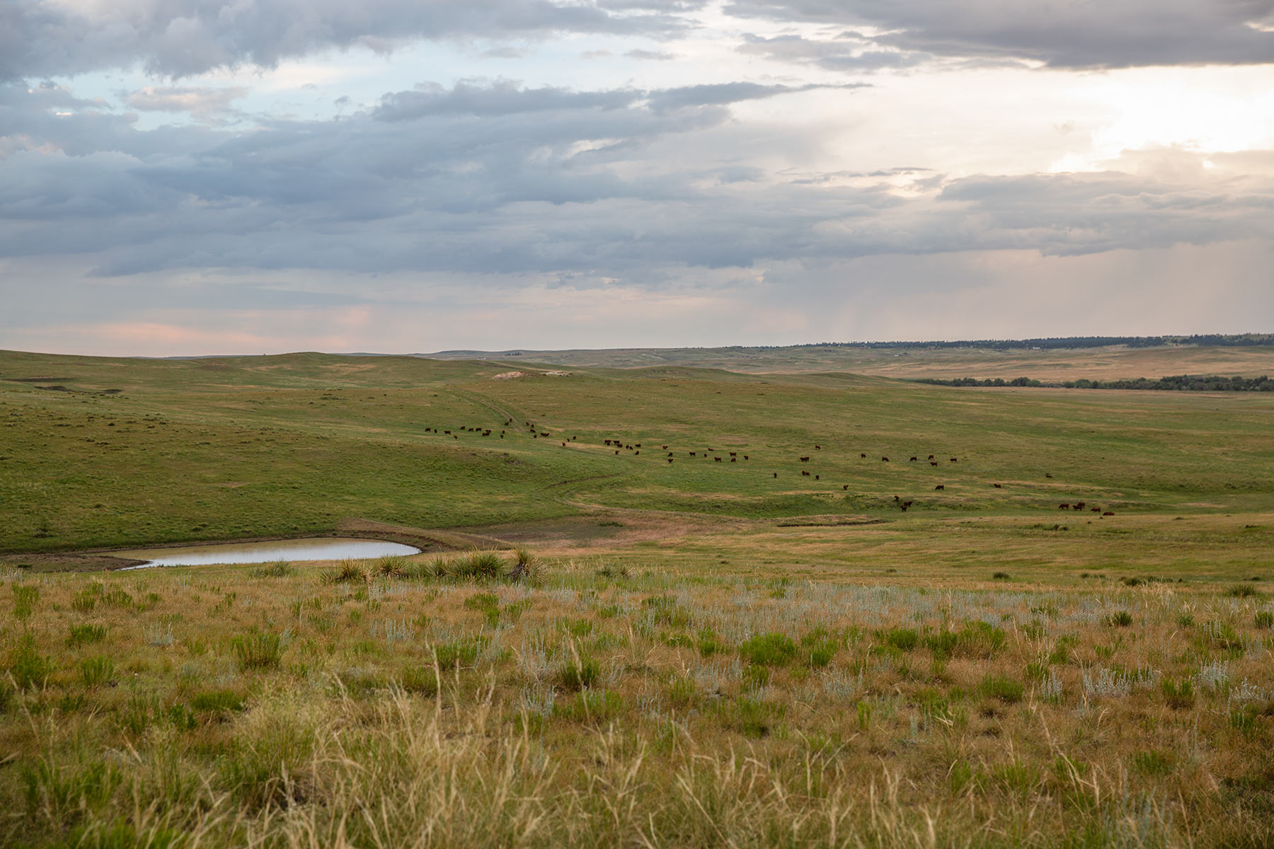 South Comanche Ranch property picture 121 of 220