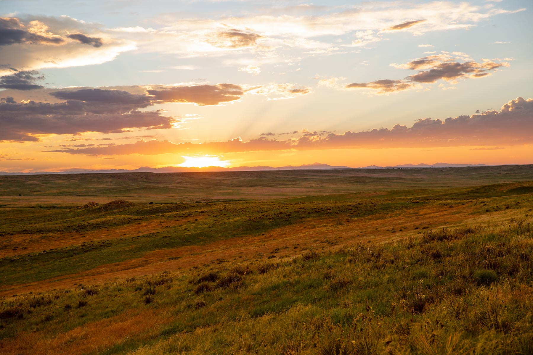 South Comanche Ranch property picture 194 of 220