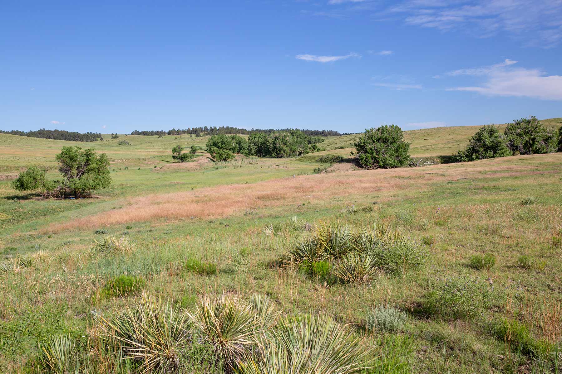 South Comanche Ranch property picture 32 of 220
