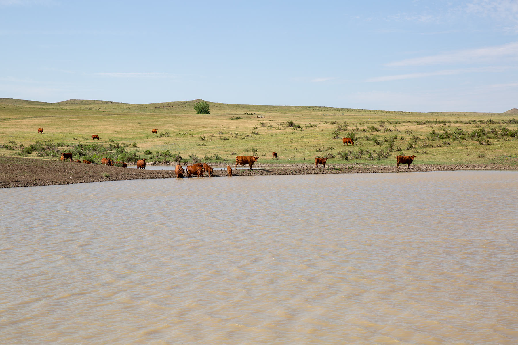 South Comanche Ranch property picture 181 of 220