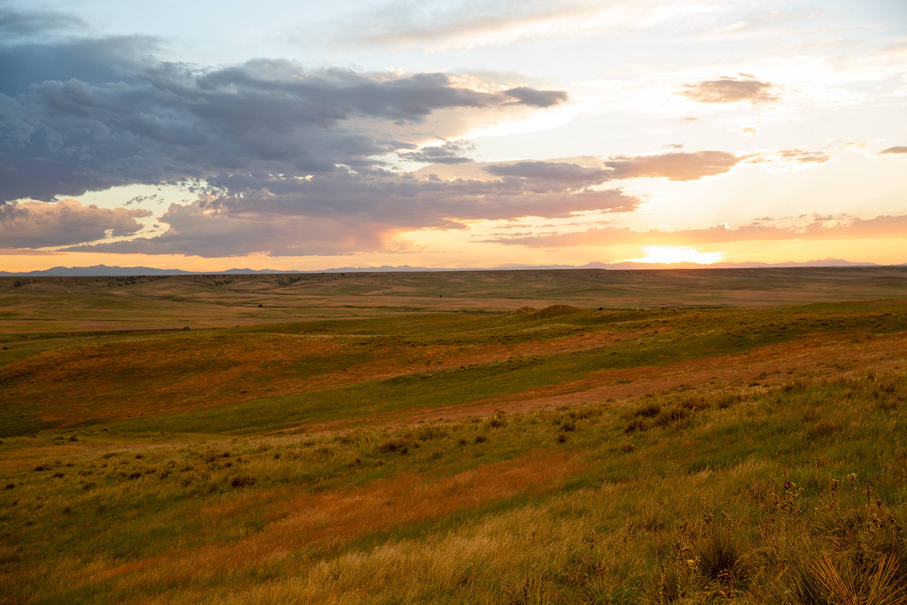 South Comanche Ranch property picture 196 of 220