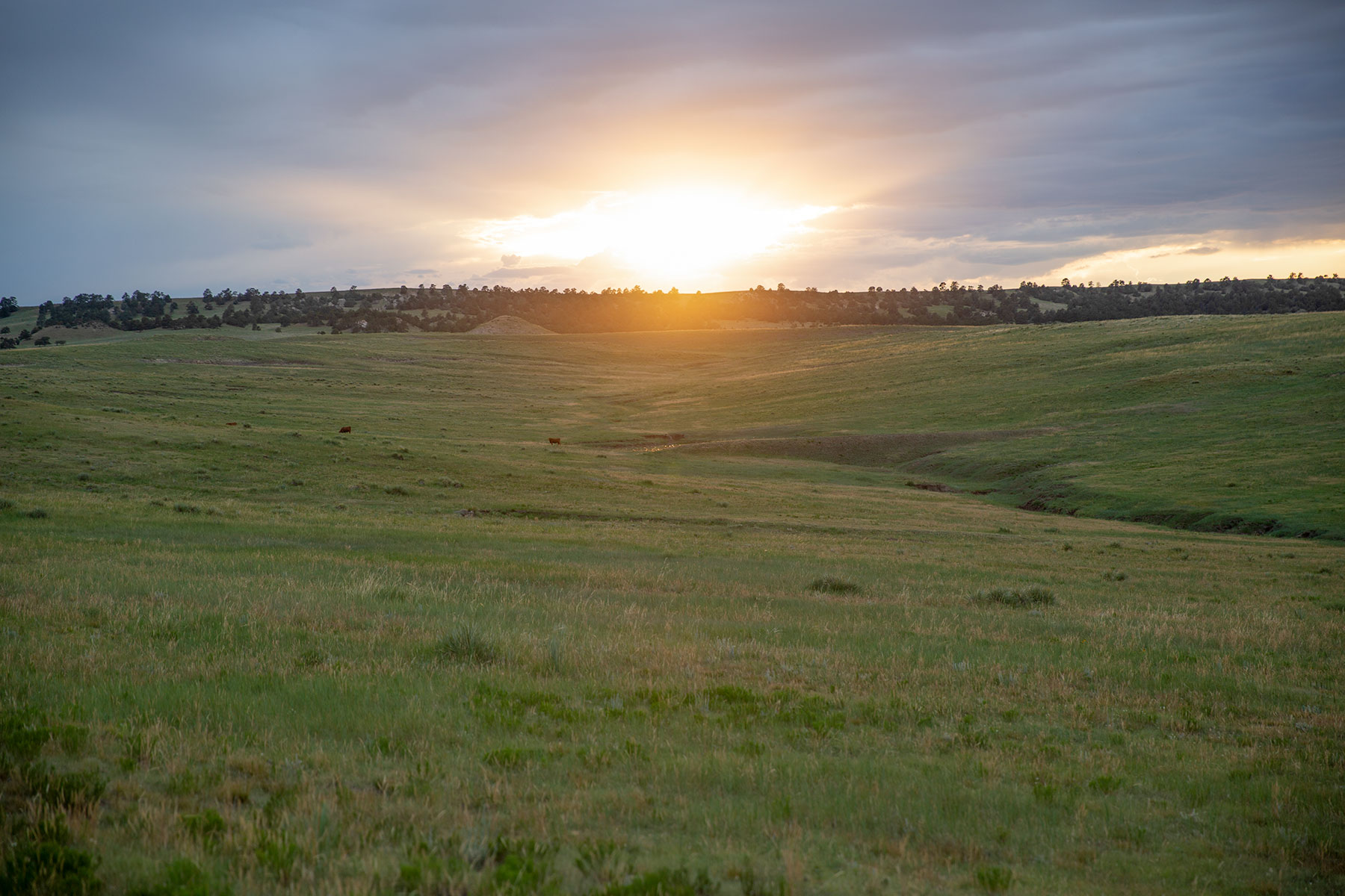 South Comanche Ranch property picture 128 of 220