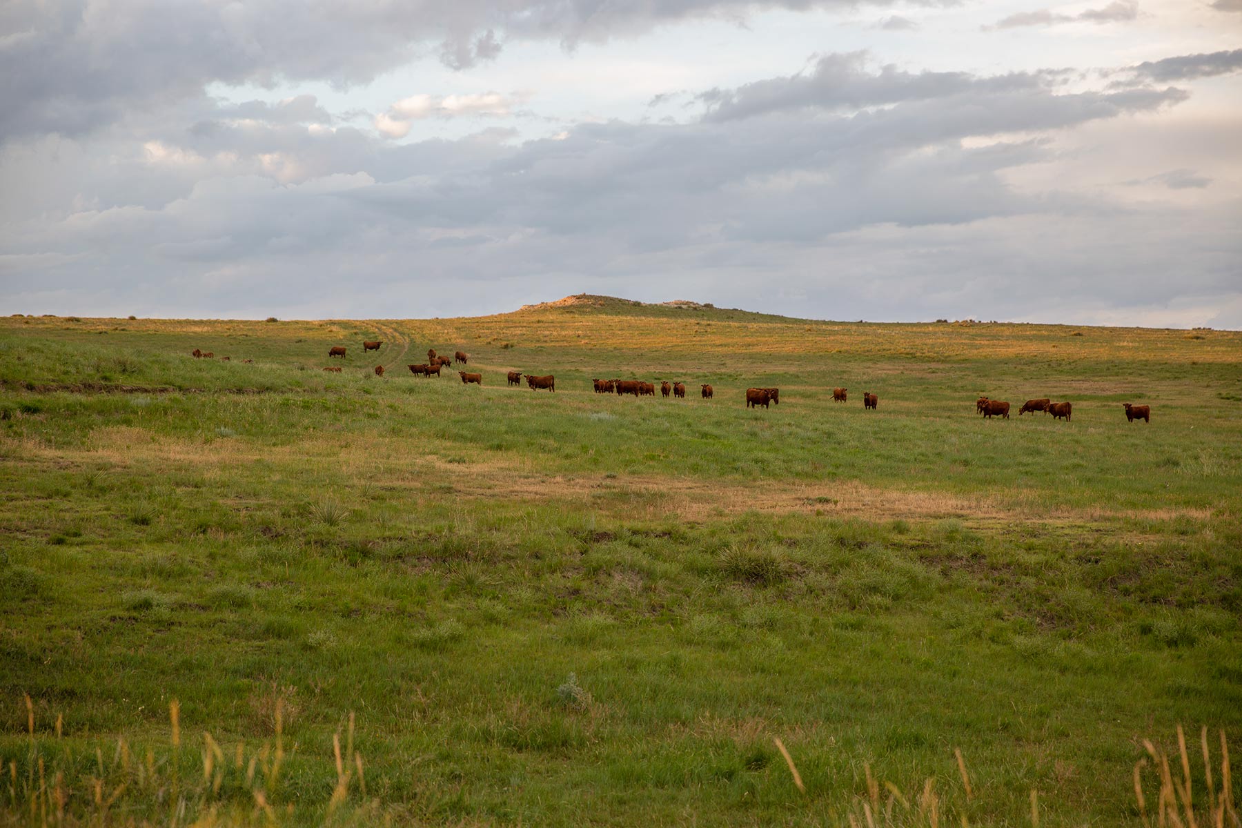 South Comanche Ranch property picture 124 of 220