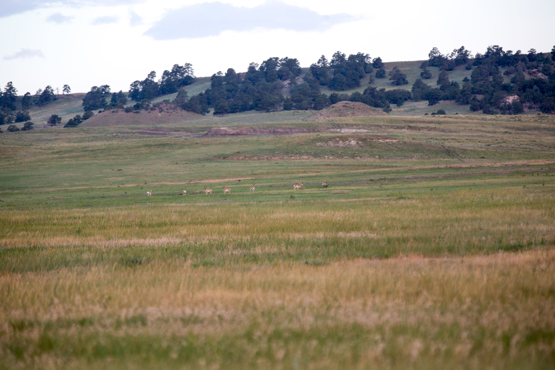 South Comanche Ranch property picture 139 of 220