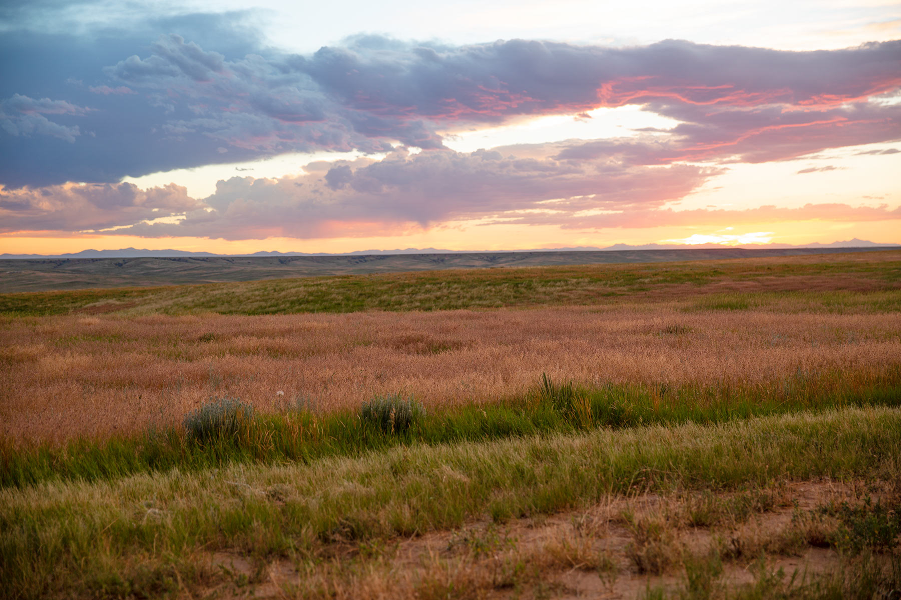 South Comanche Ranch property picture 199 of 220