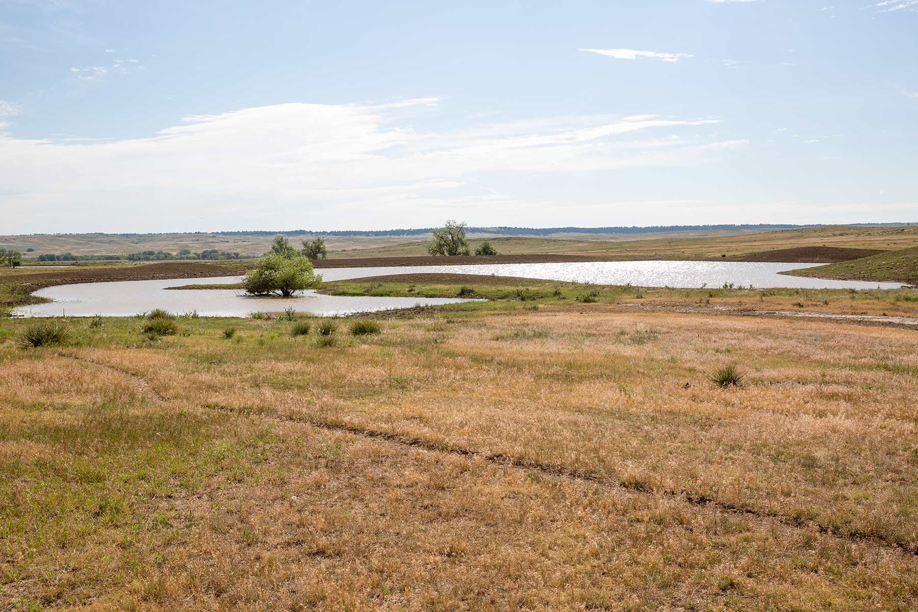 South Comanche Ranch property picture 161 of 220