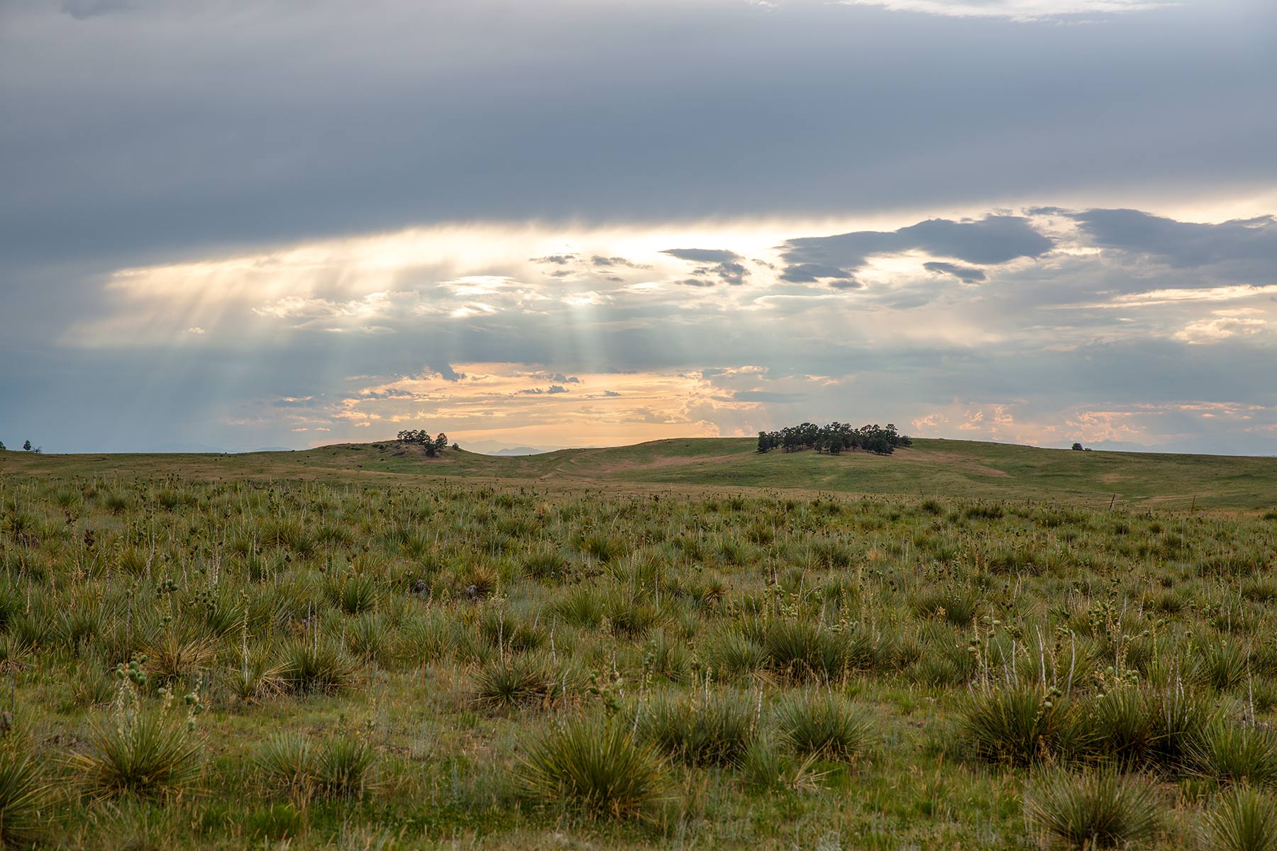 South Comanche Ranch property picture 213 of 220