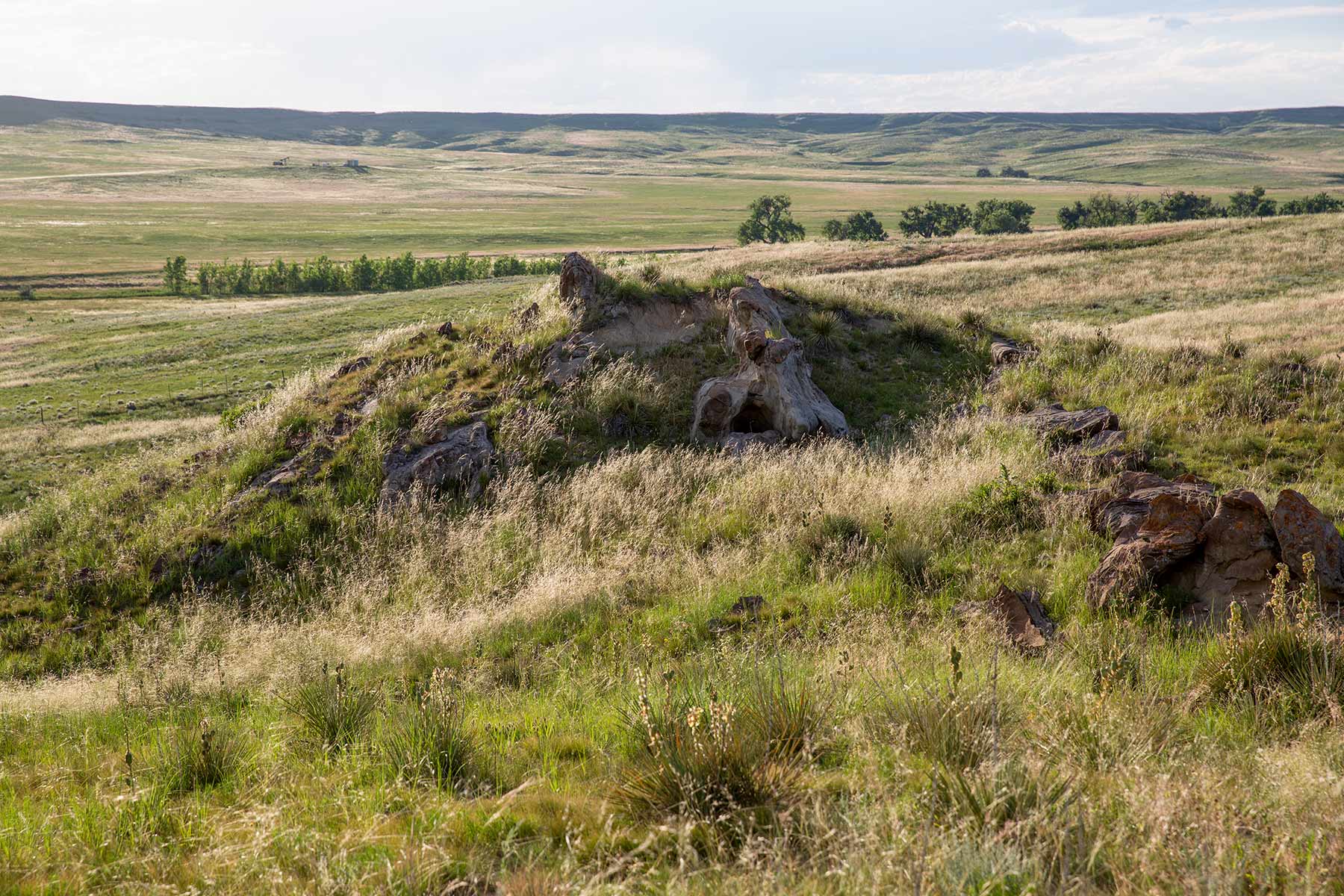 South Comanche Ranch property picture 88 of 220