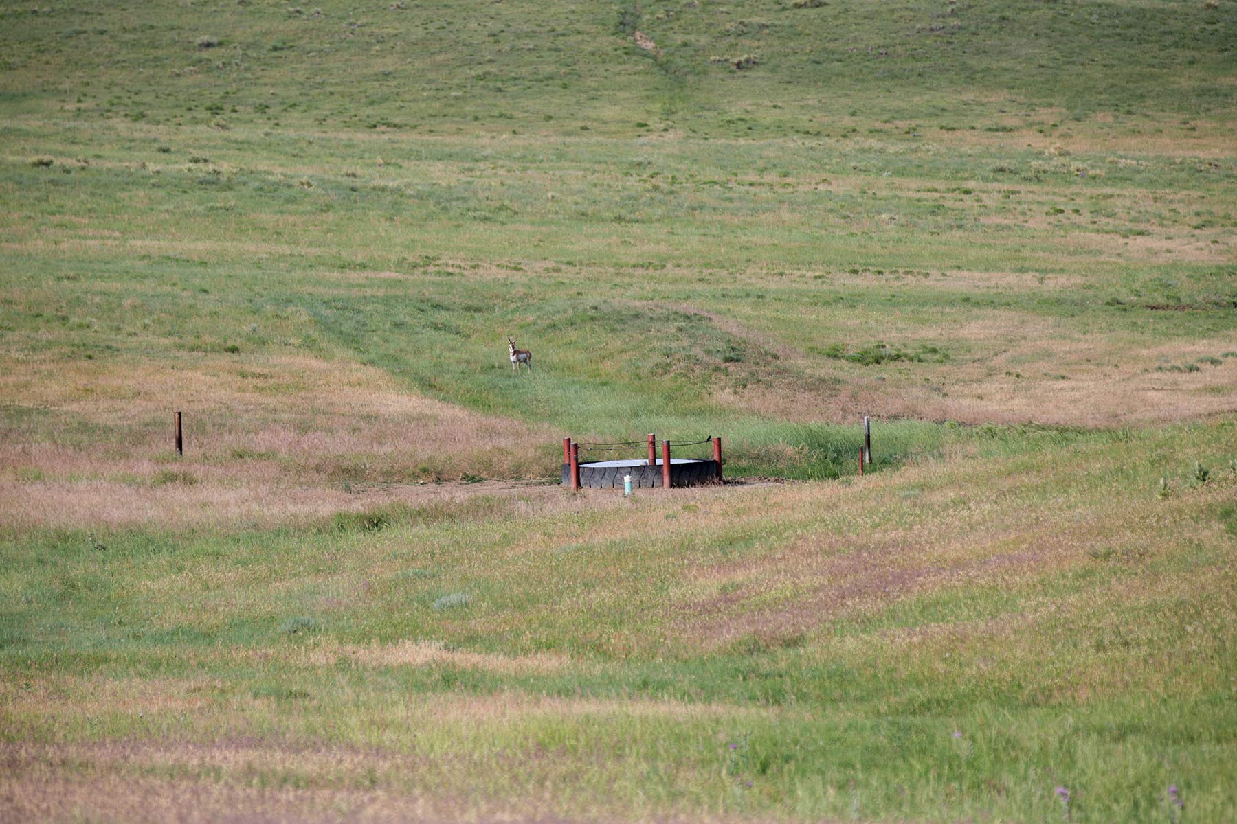 South Comanche Ranch property picture 36 of 220