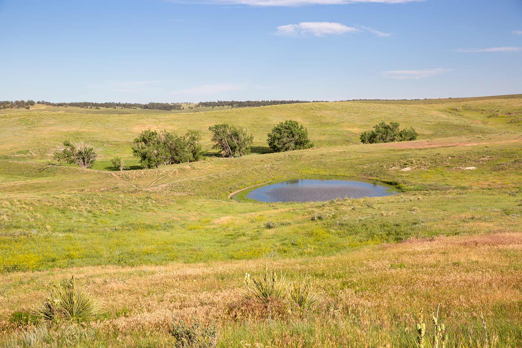 South Comanche Ranch property picture 55 of 220