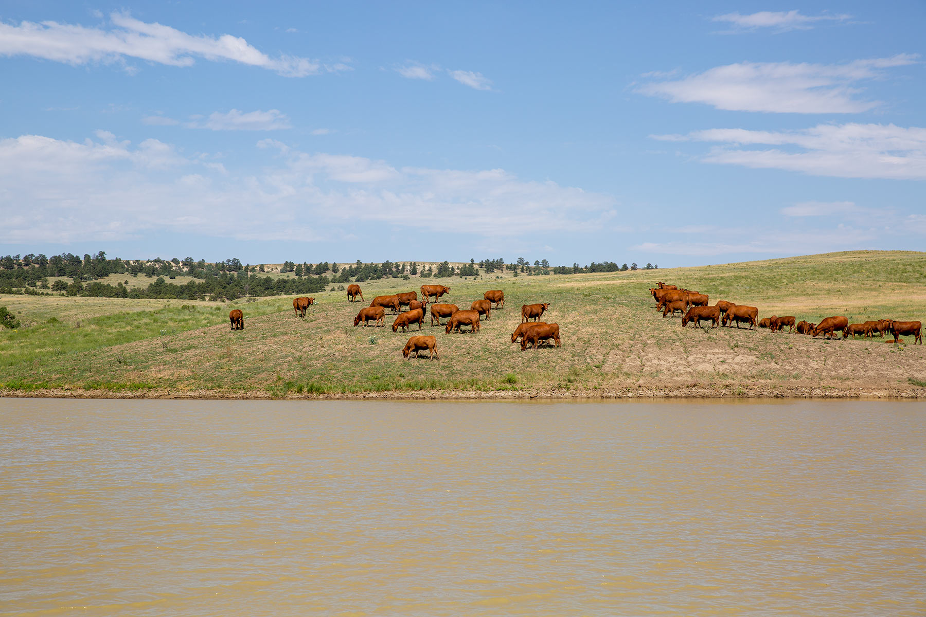 South Comanche Ranch property picture 188 of 220