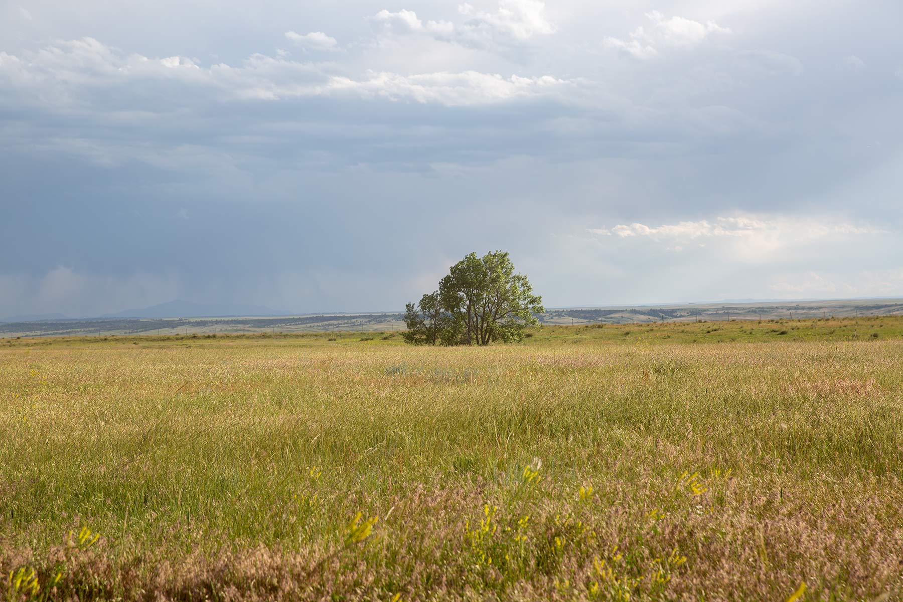 South Comanche Ranch property picture 61 of 220