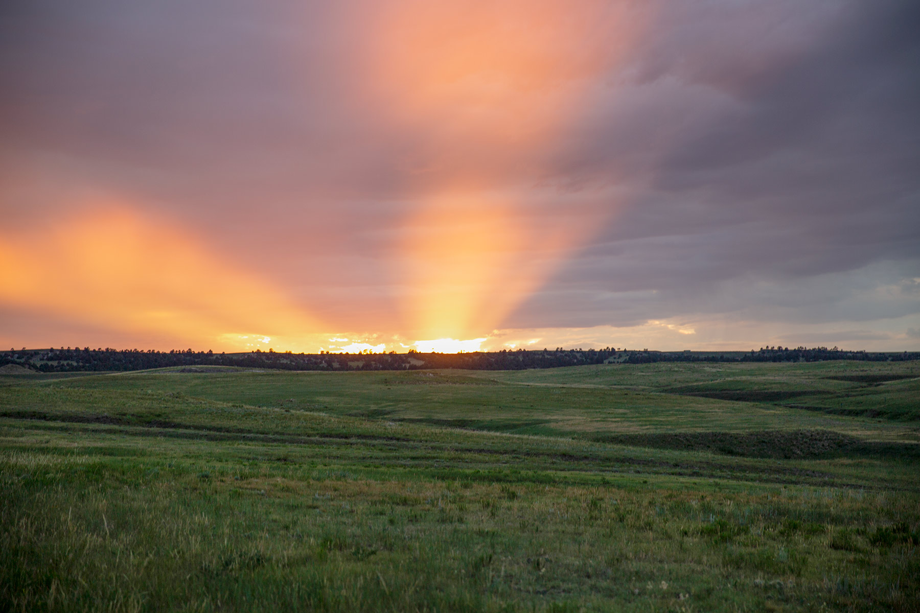 South Comanche Ranch property picture 131 of 220