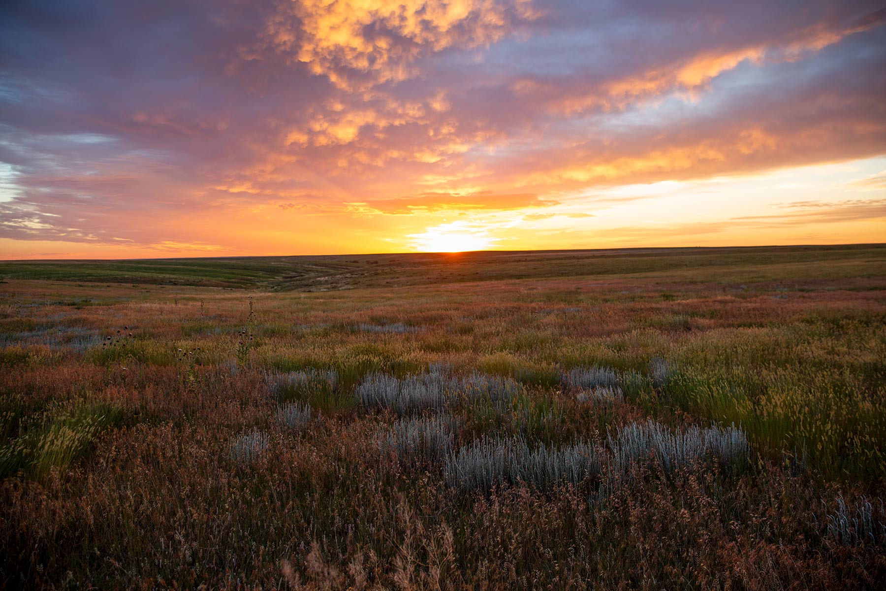 South Comanche Ranch property picture 23 of 220