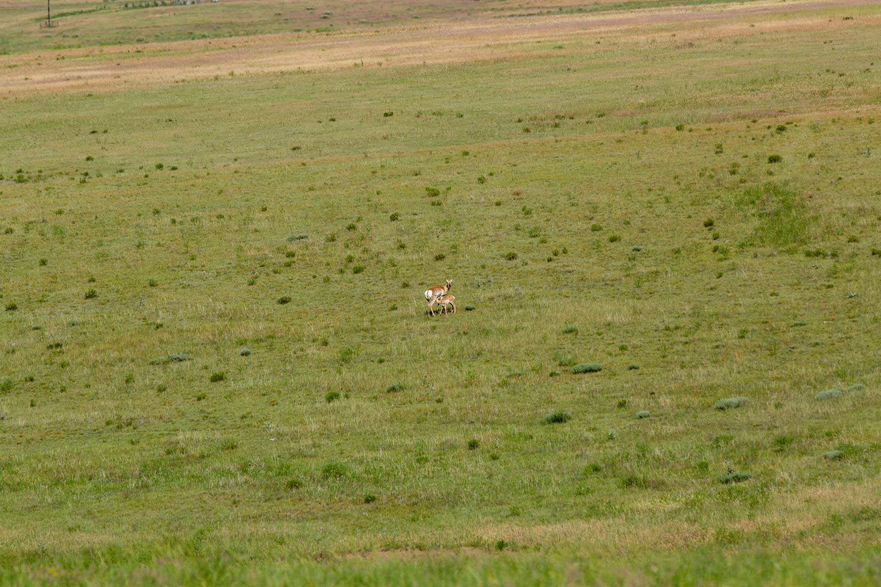 South Comanche Ranch property picture 25 of 220