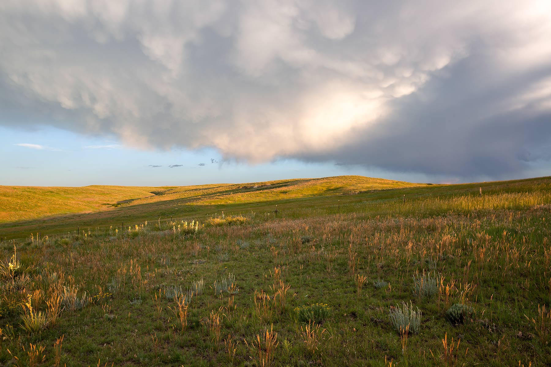 South Comanche Ranch property picture 105 of 220