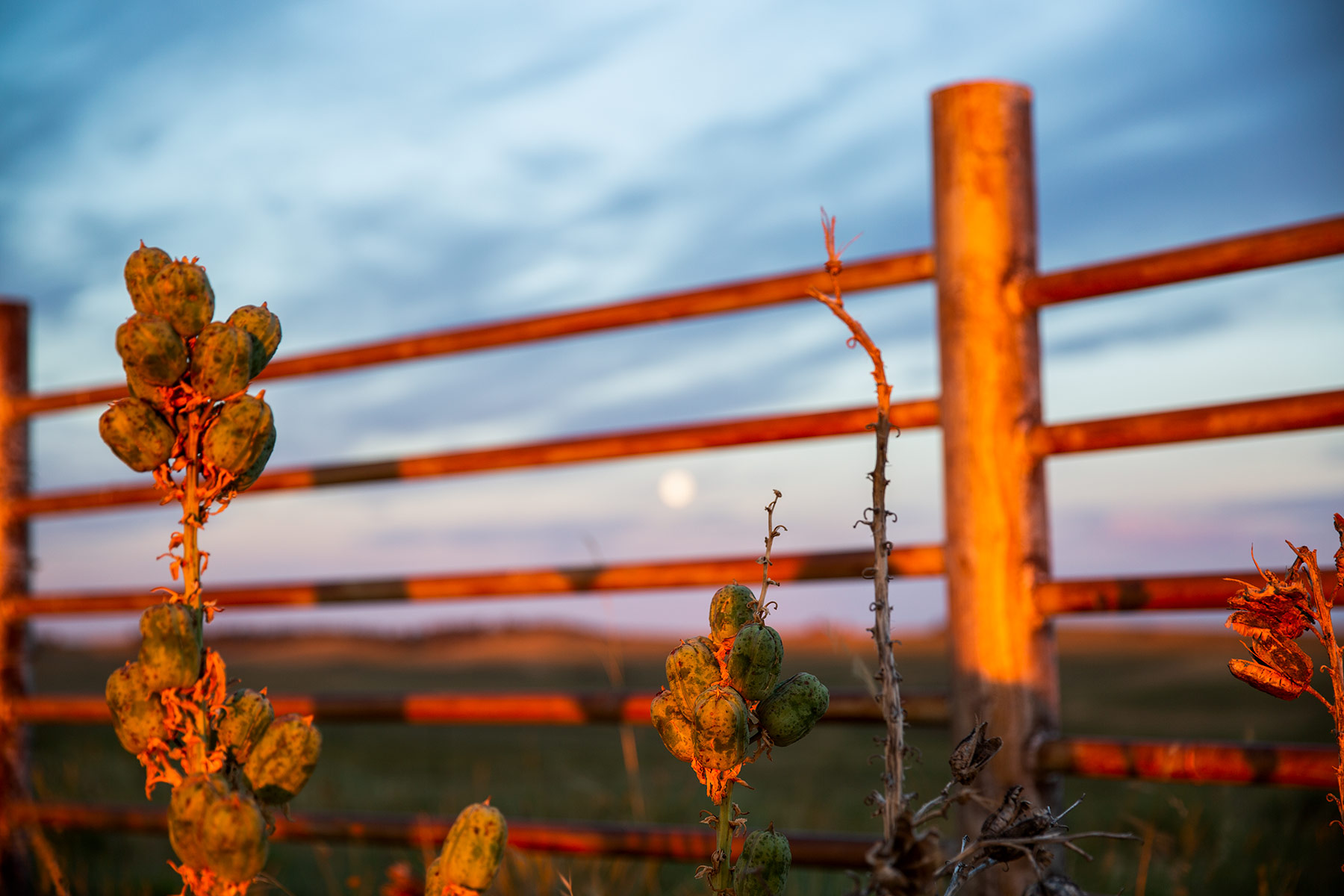 South Comanche Ranch property picture 137 of 220