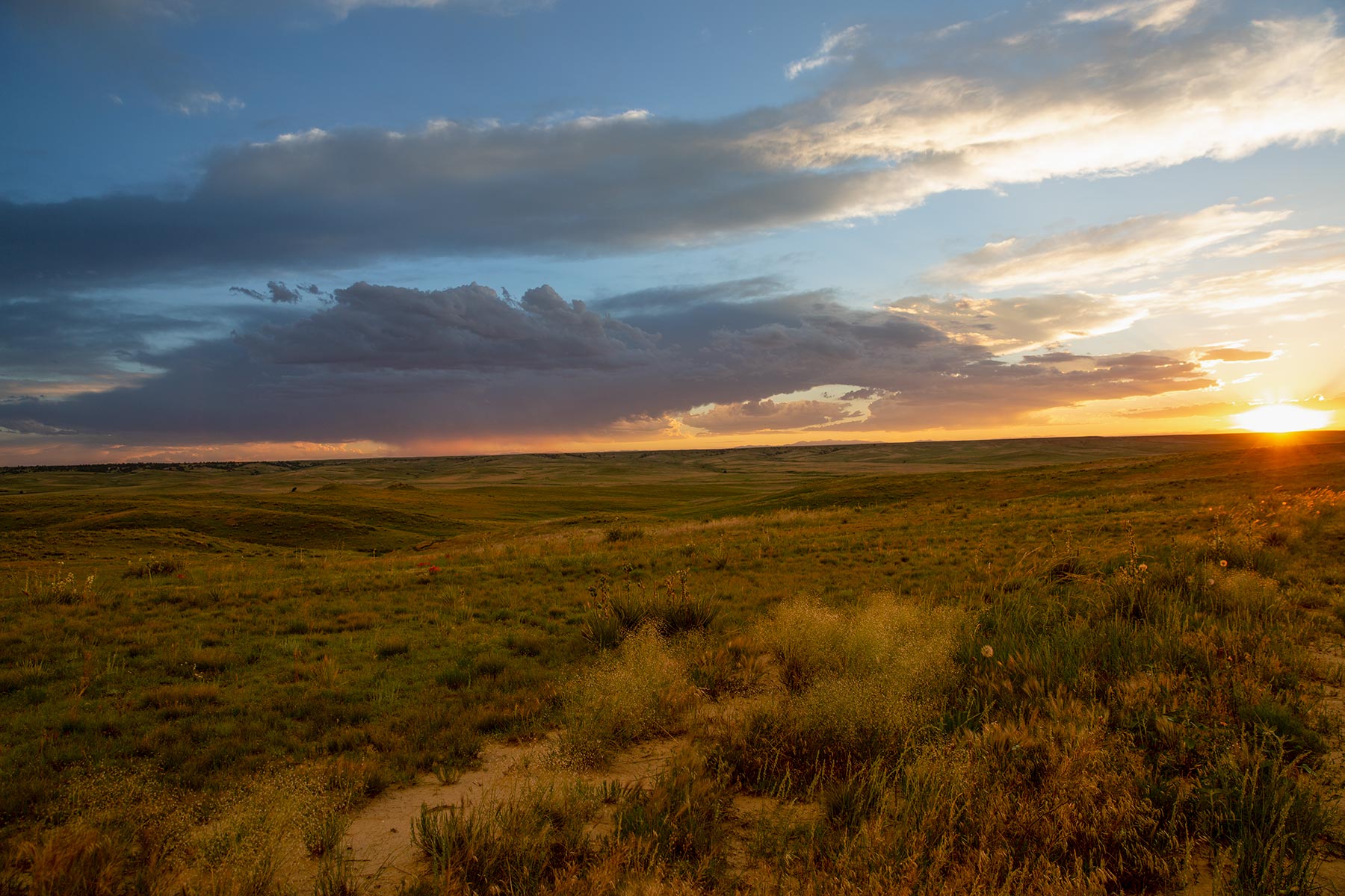 South Comanche Ranch property picture 115 of 220