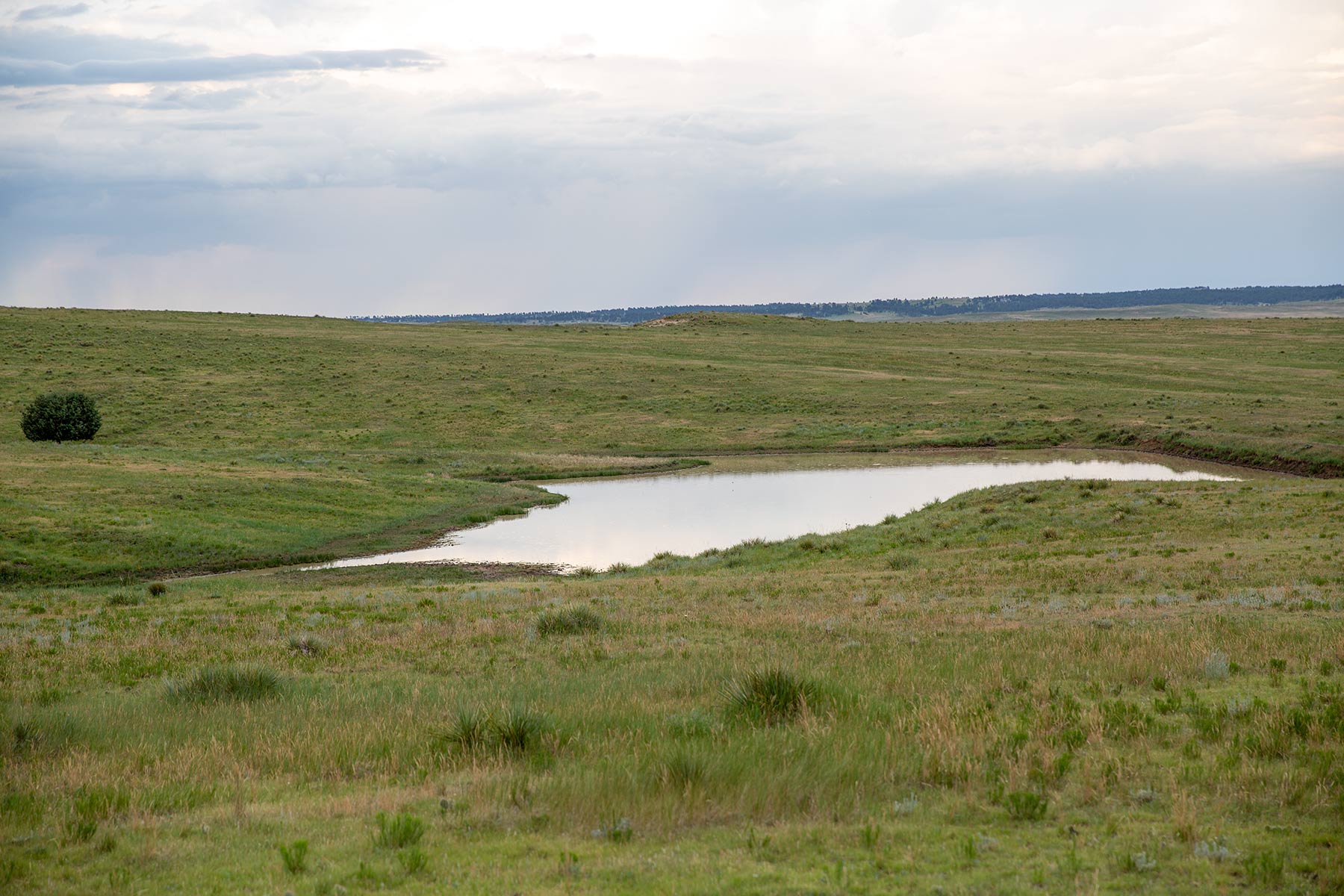 South Comanche Ranch property picture 119 of 220