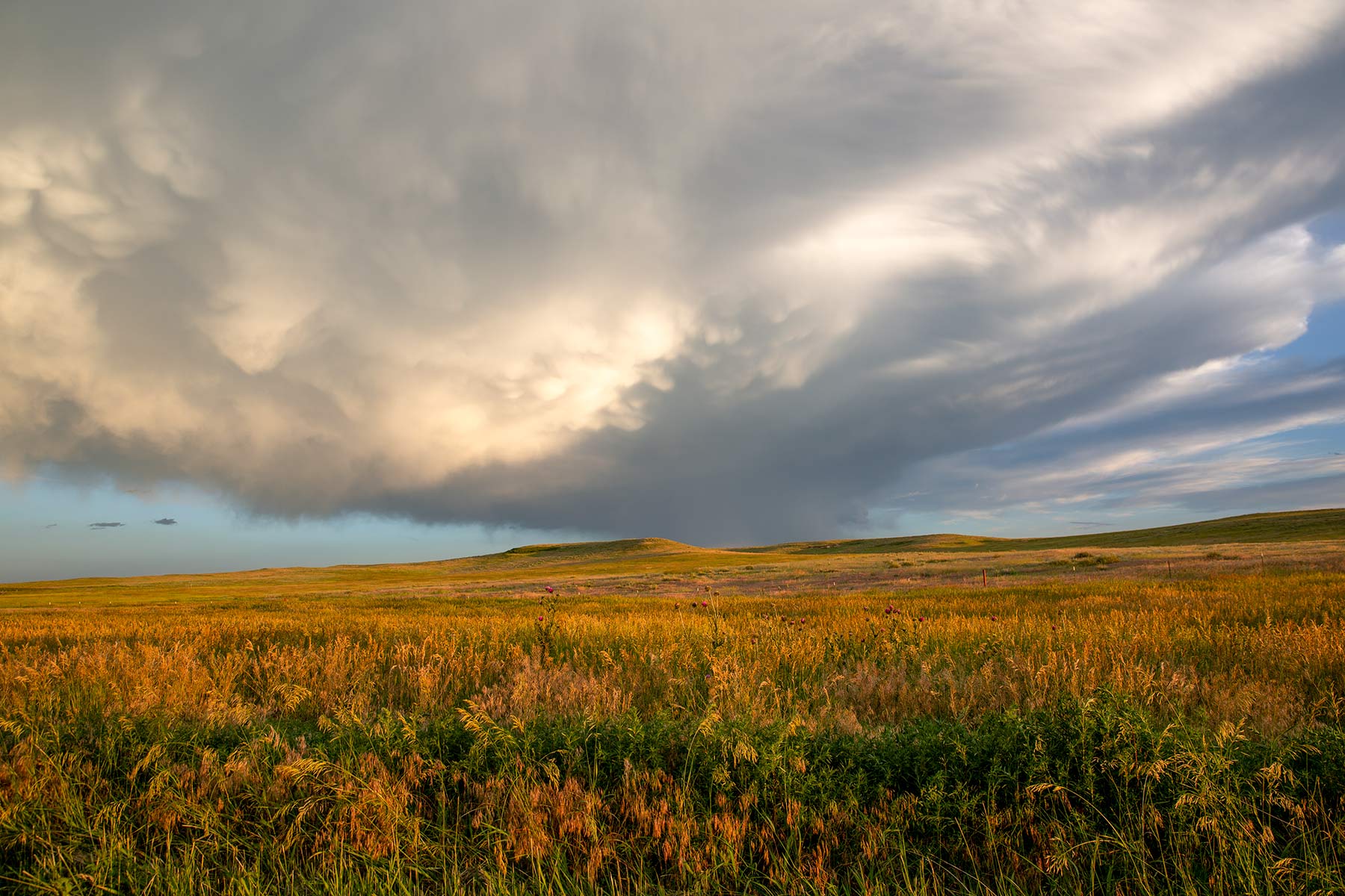 South Comanche Ranch property picture 107 of 220