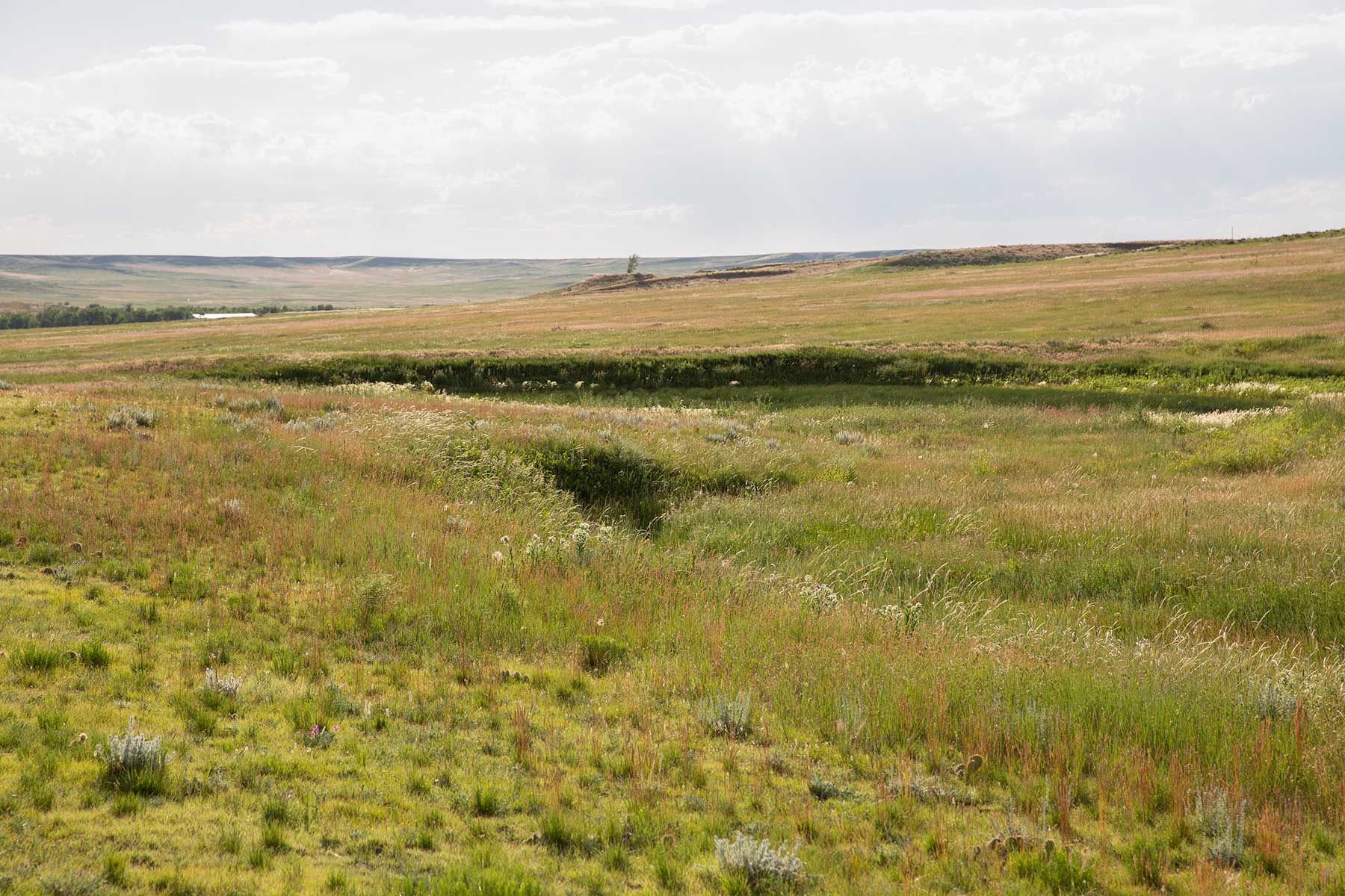 South Comanche Ranch property picture 63 of 220