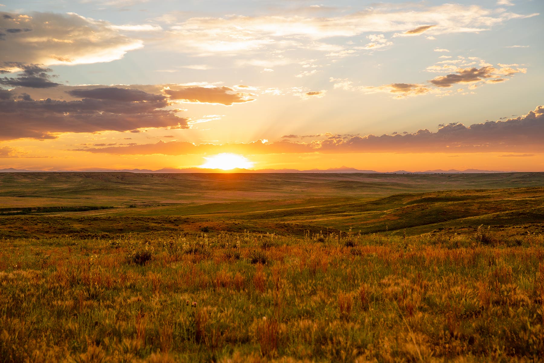 South Comanche Ranch property picture 4 of 220