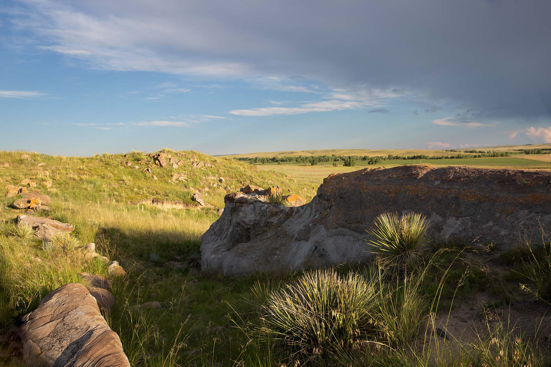 South Comanche Ranch property picture 92 of 220