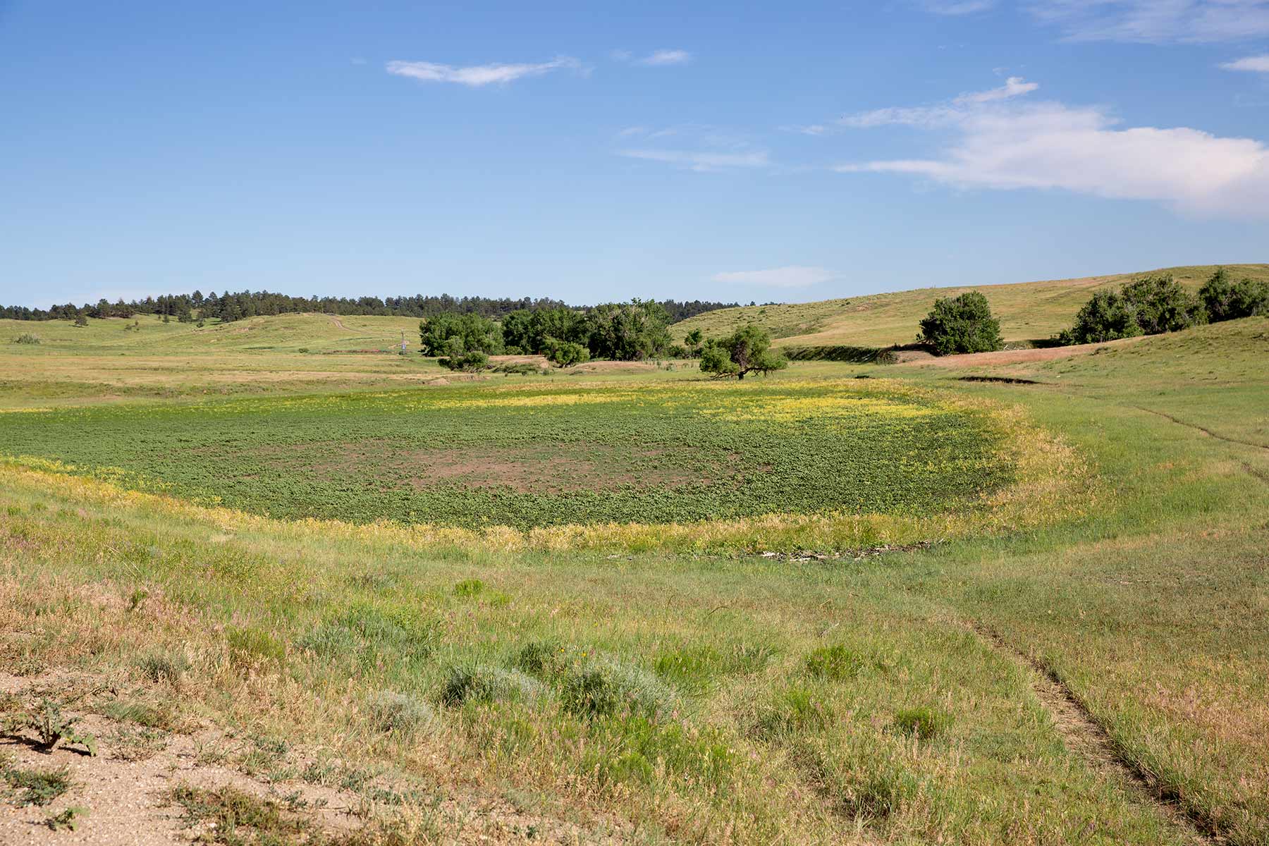 South Comanche Ranch property picture 31 of 220