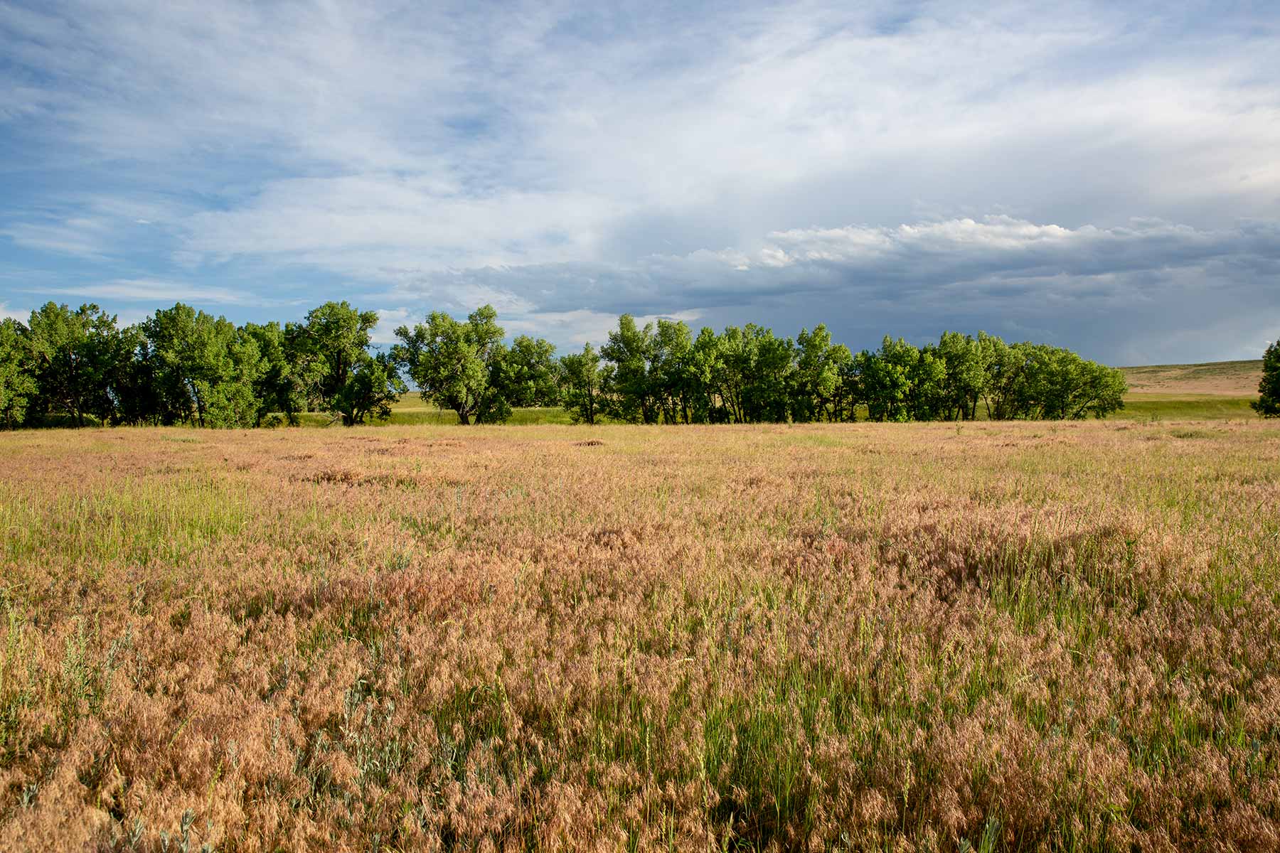 South Comanche Ranch property picture 70 of 220