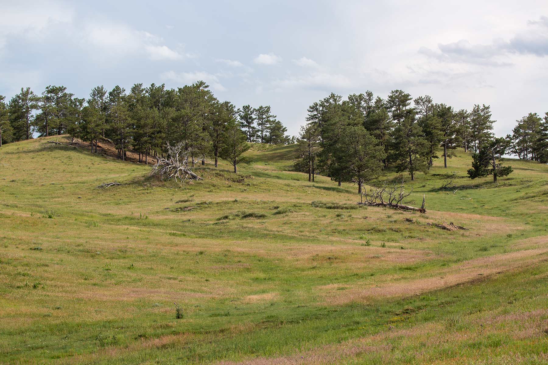 South Comanche Ranch property picture 44 of 220