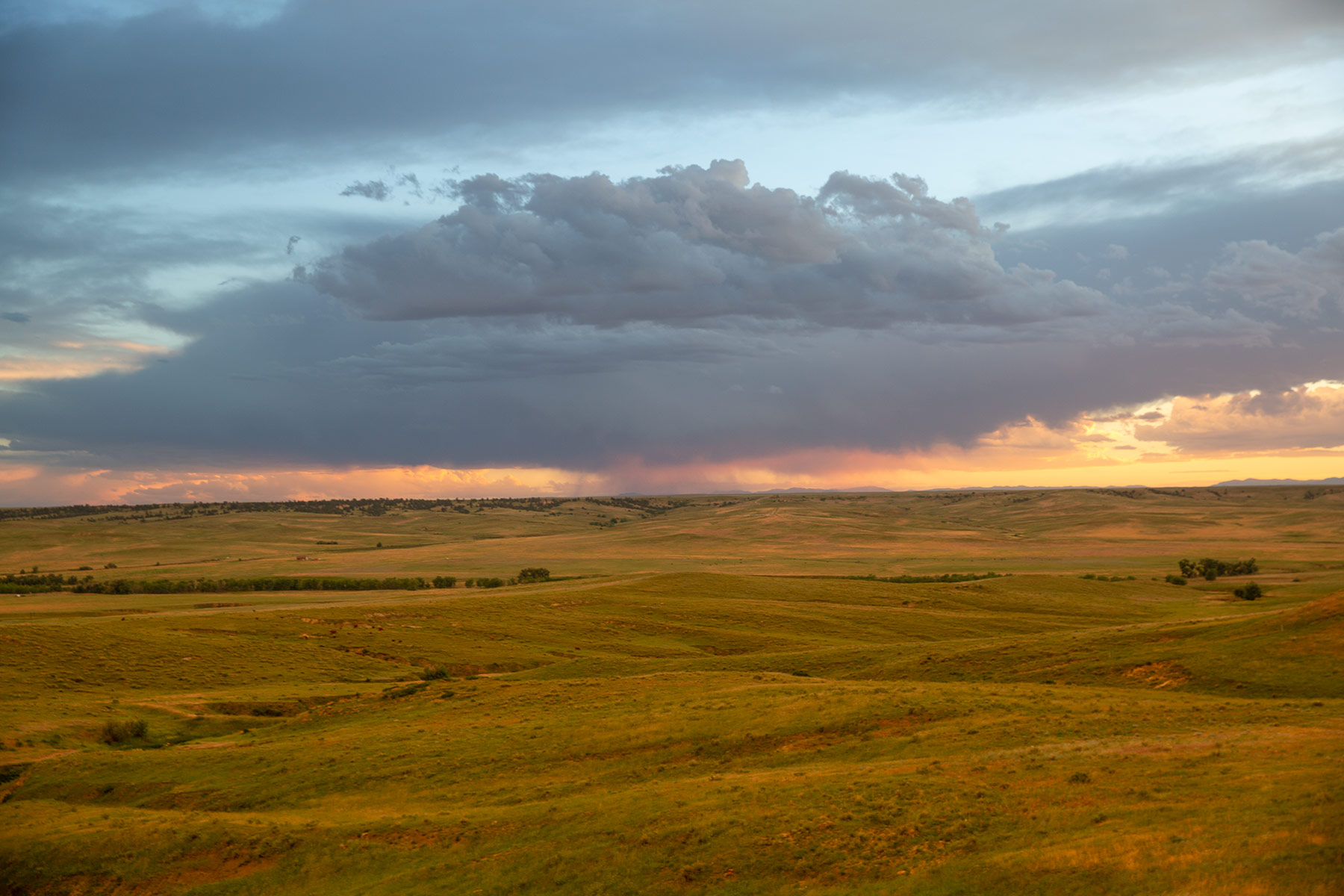 South Comanche Ranch property picture 192 of 220