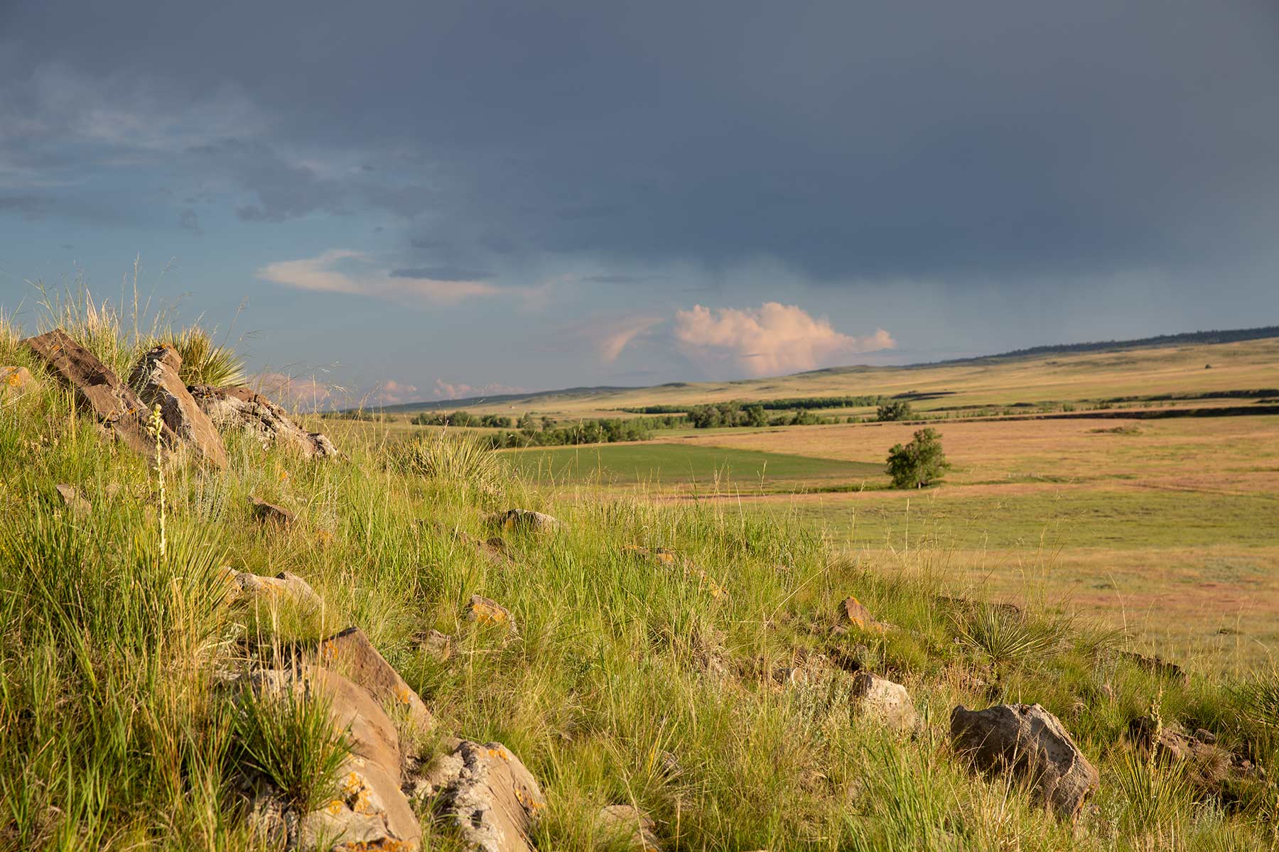 South Comanche Ranch property picture 90 of 220