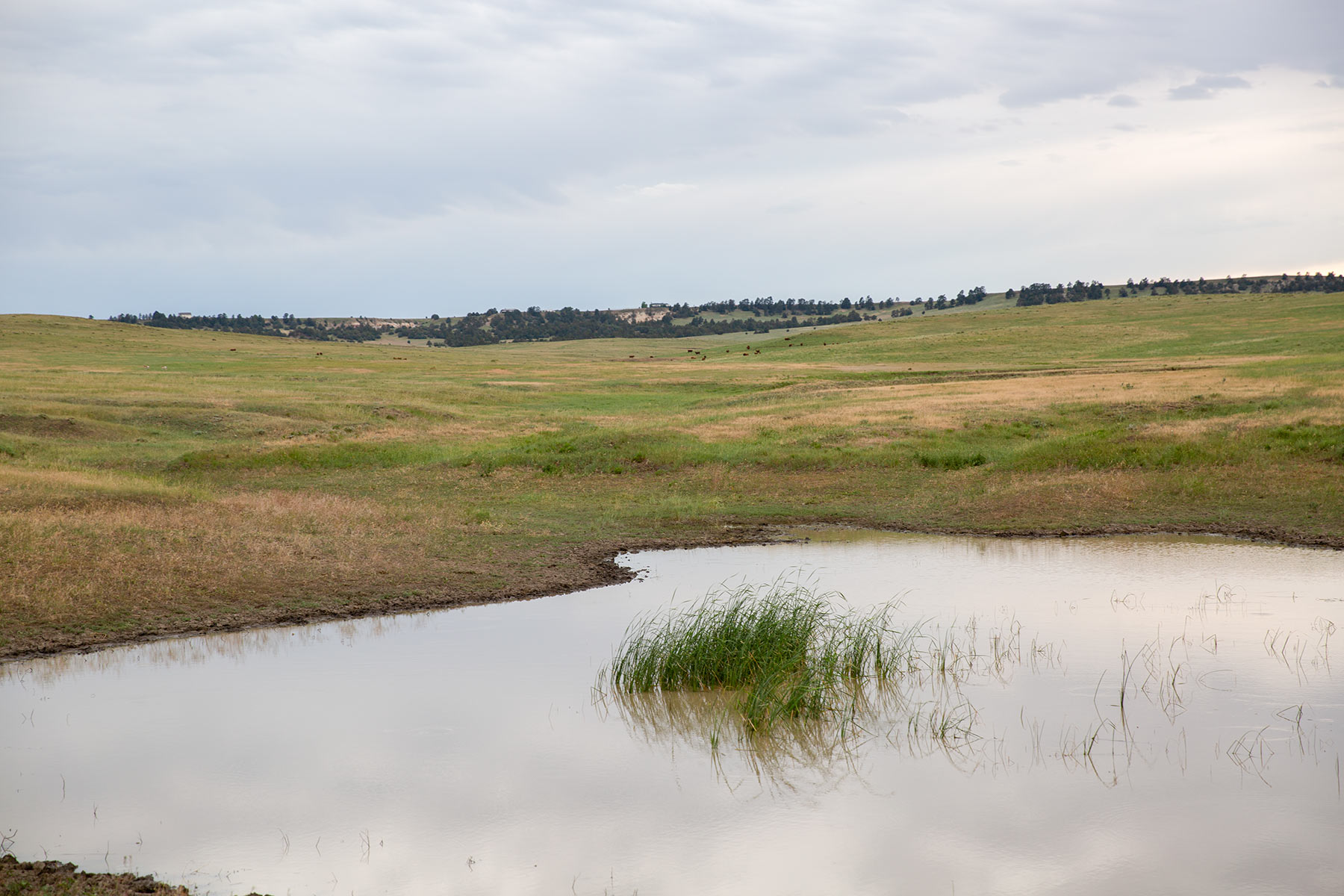 South Comanche Ranch property picture 216 of 220