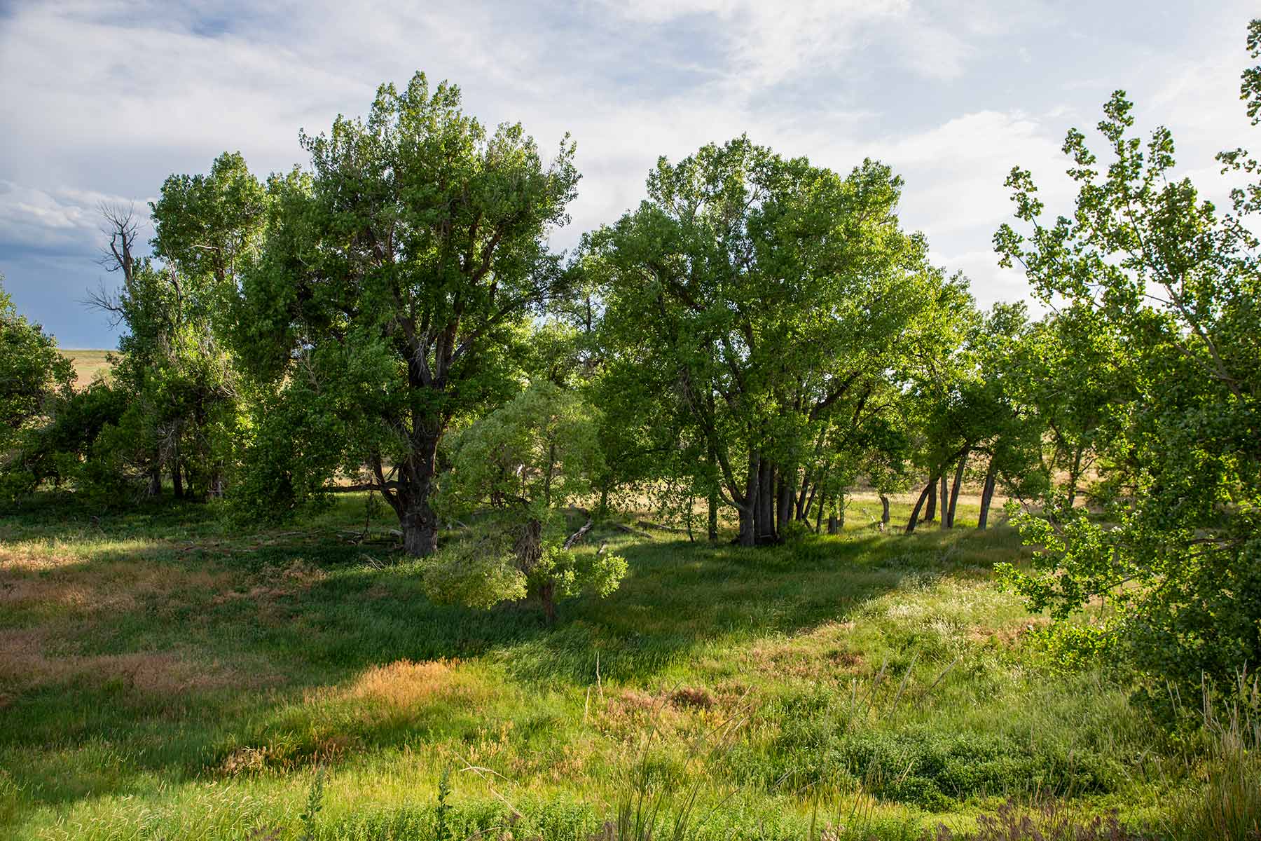 South Comanche Ranch property picture 67 of 220
