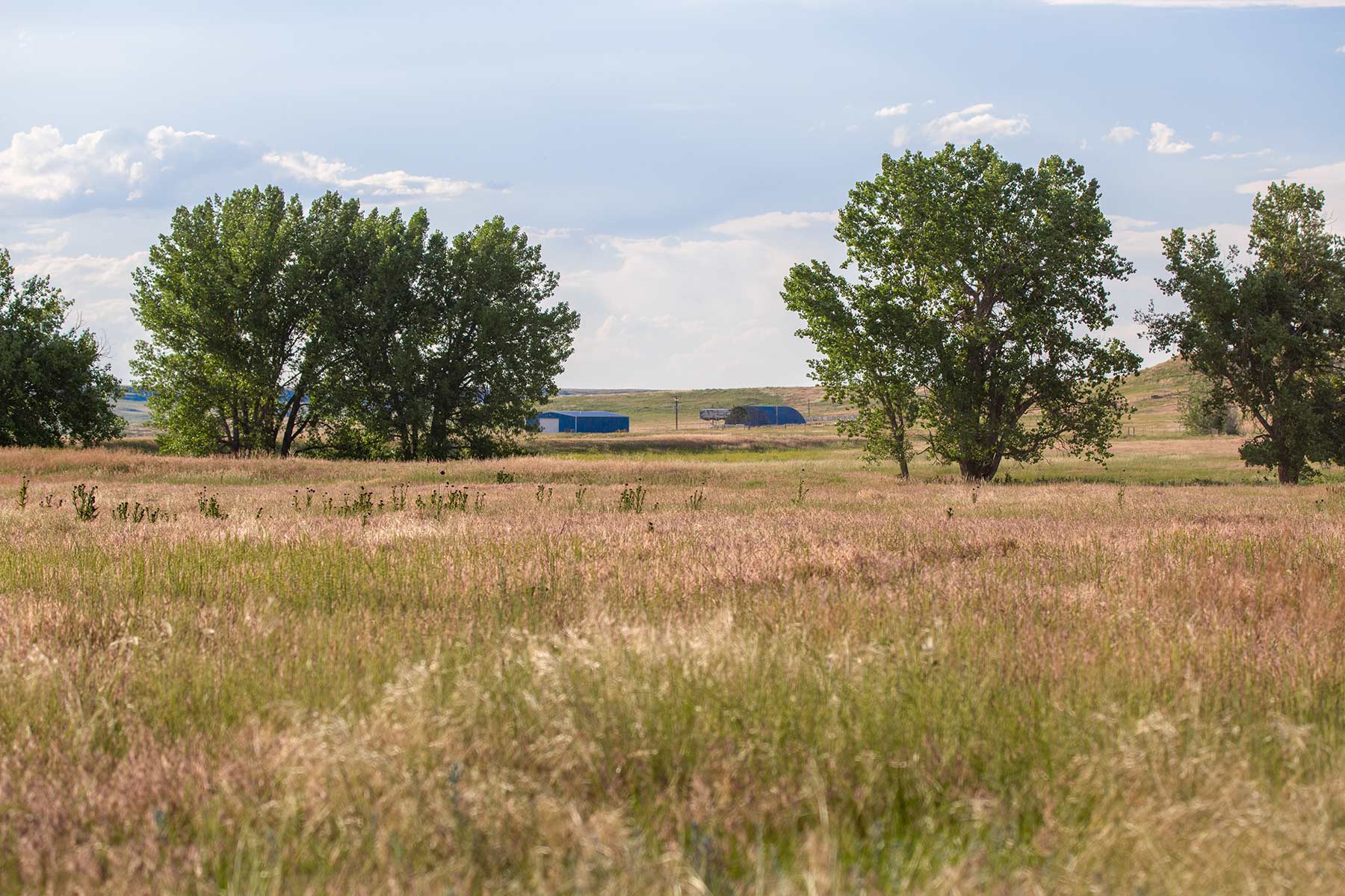 South Comanche Ranch property picture 69 of 220