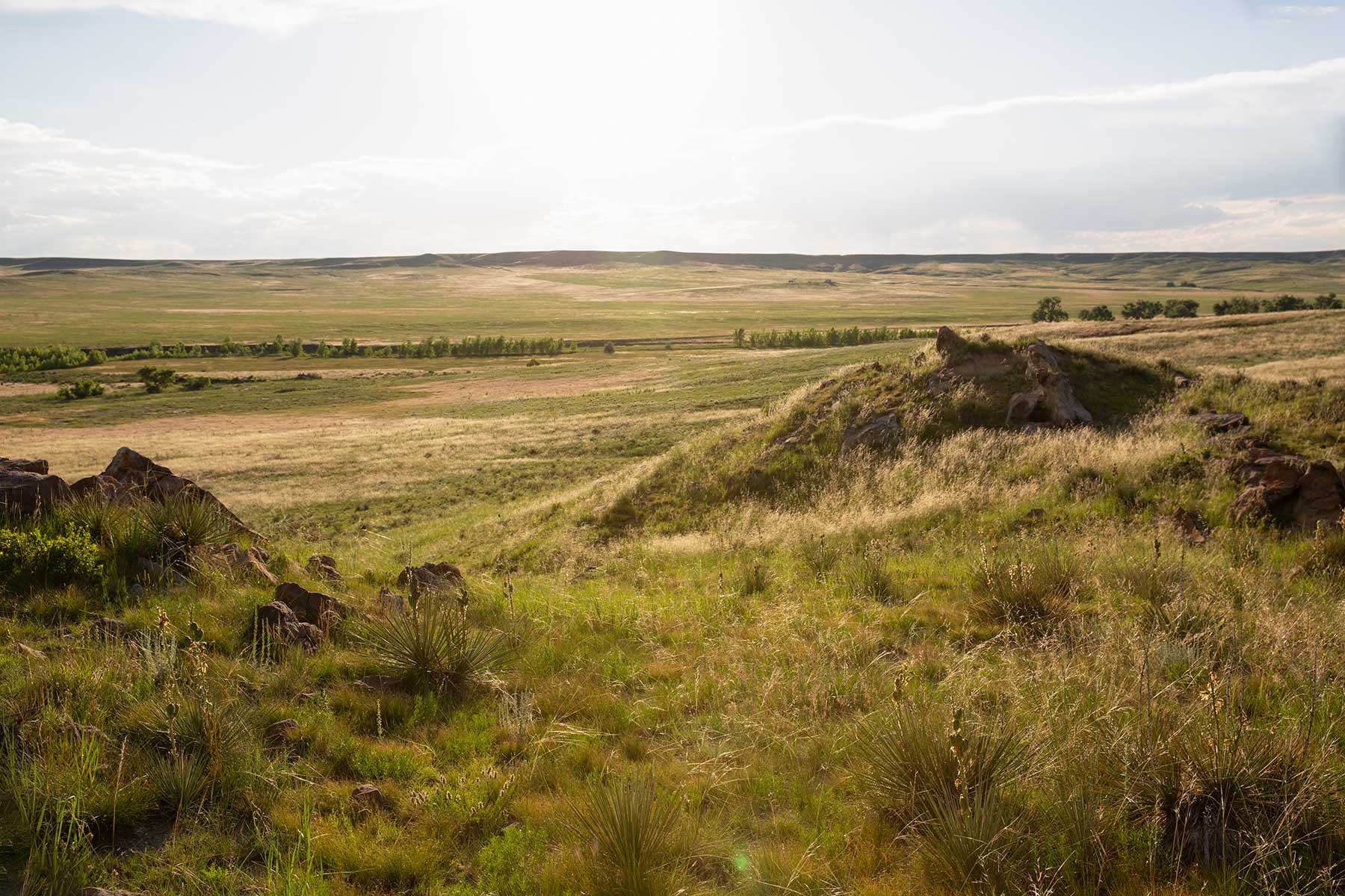South Comanche Ranch property picture 89 of 220