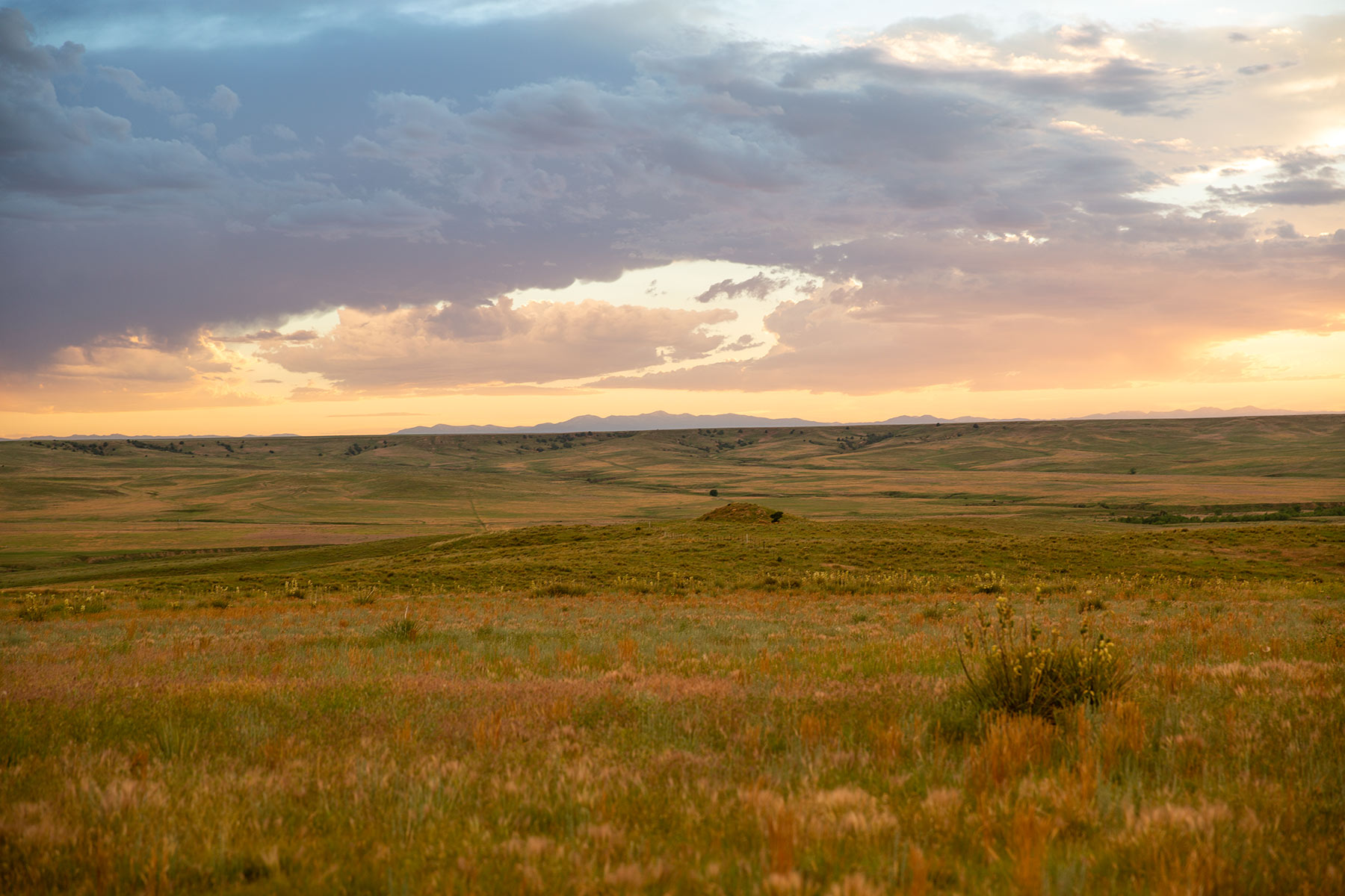 South Comanche Ranch property picture 191 of 220