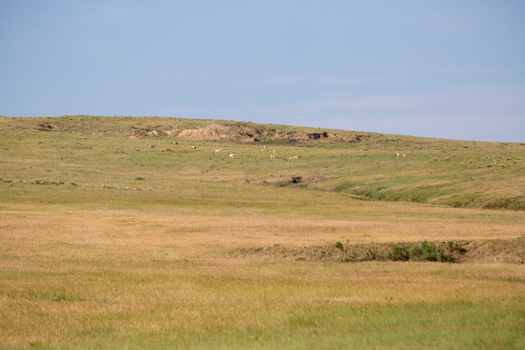 South Comanche Ranch property picture 150 of 220